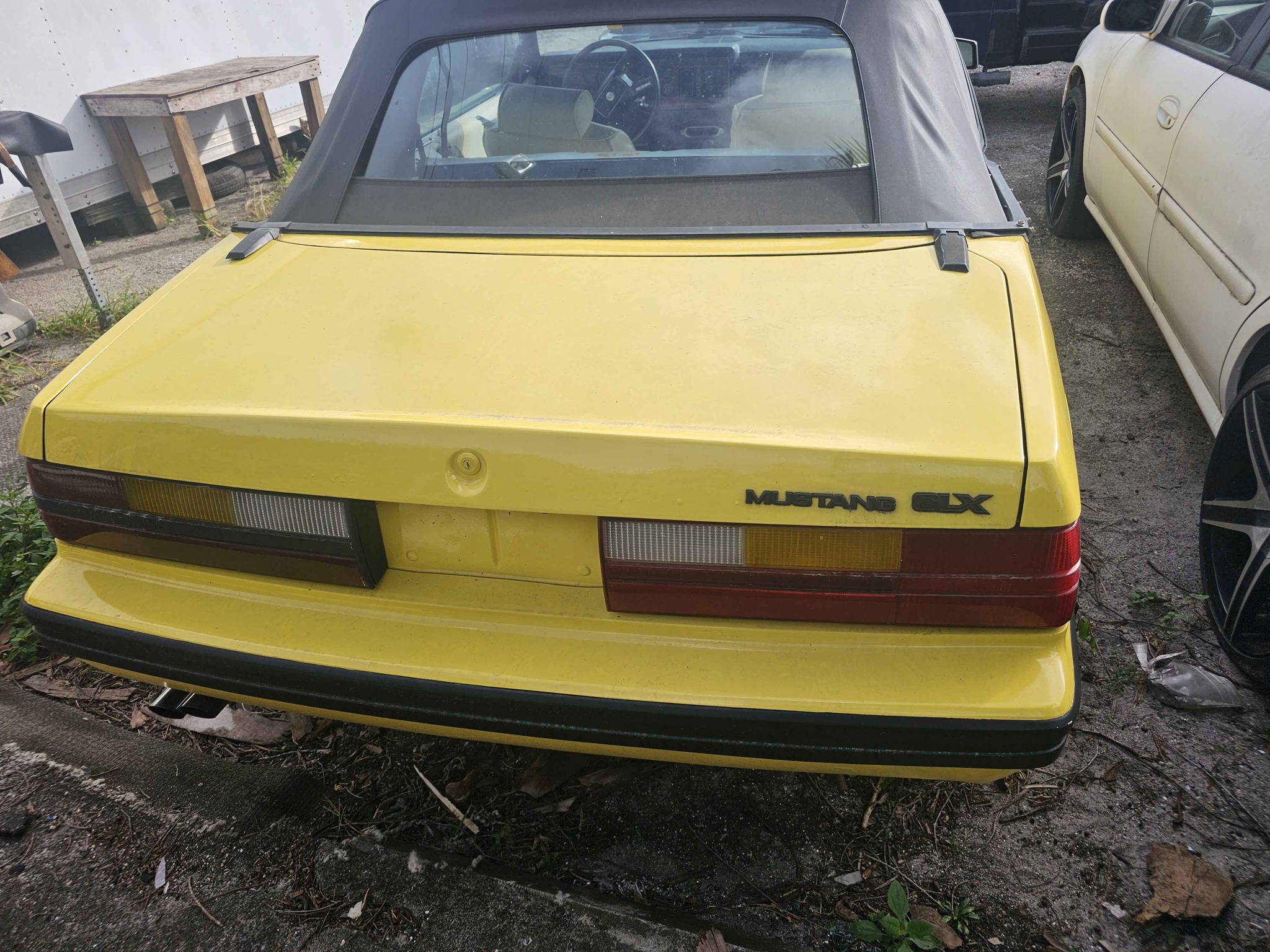 1983 Ford Mustang · Convertible 2D - Cars & Trucks - Haverhill, Florida ...