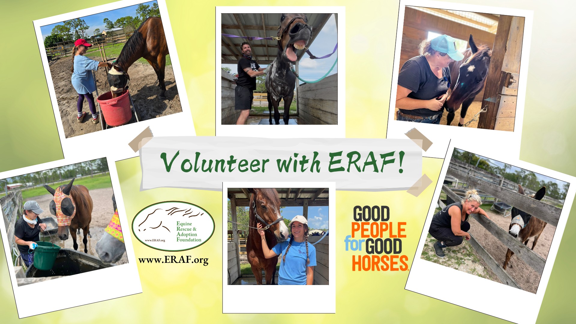 New Volunteer Orientation