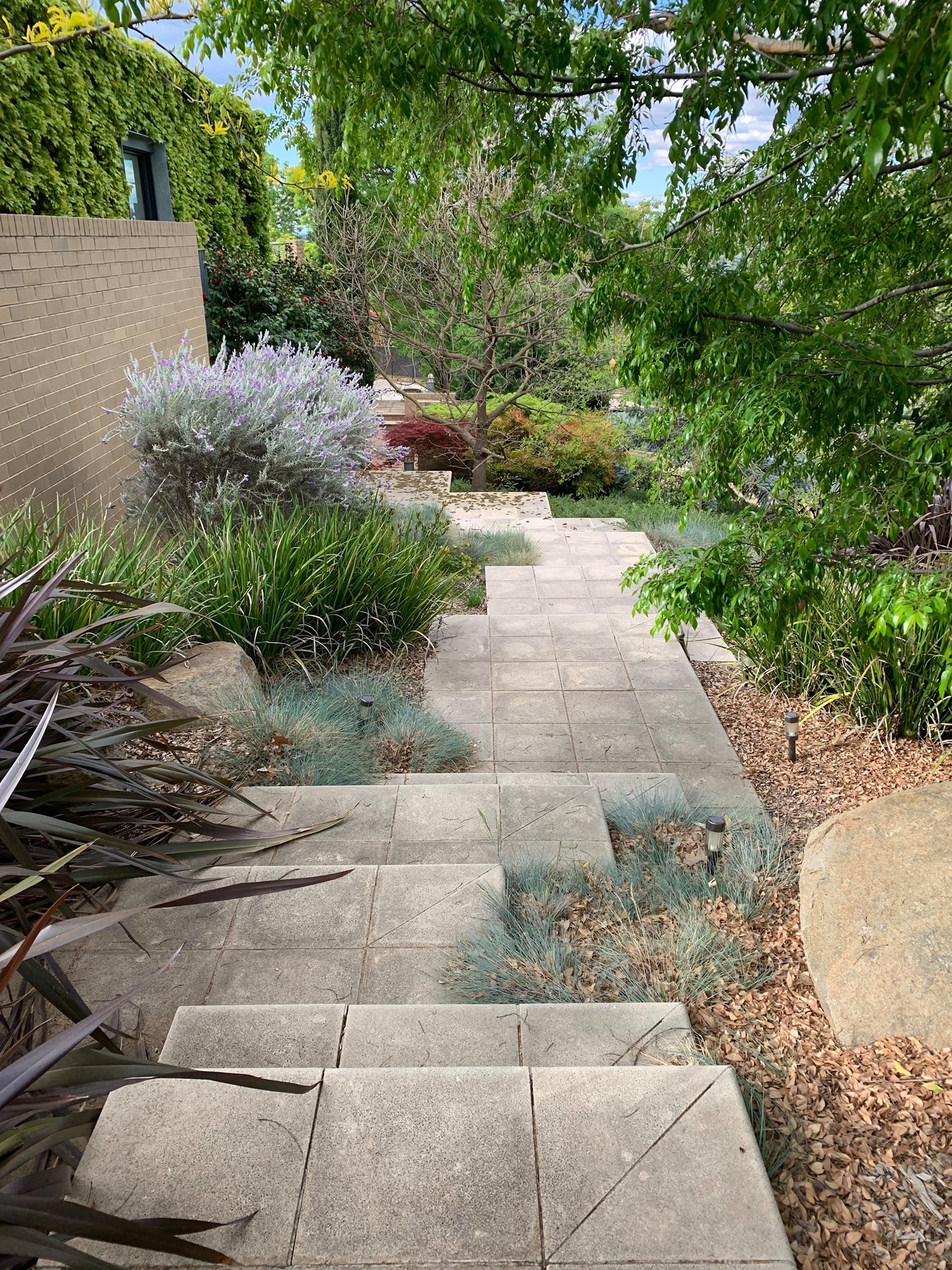 Fine Garden Care | Bribie QLD