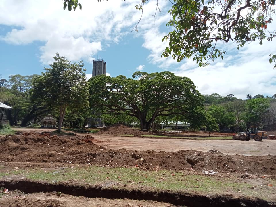 UPLB Fertility Tree