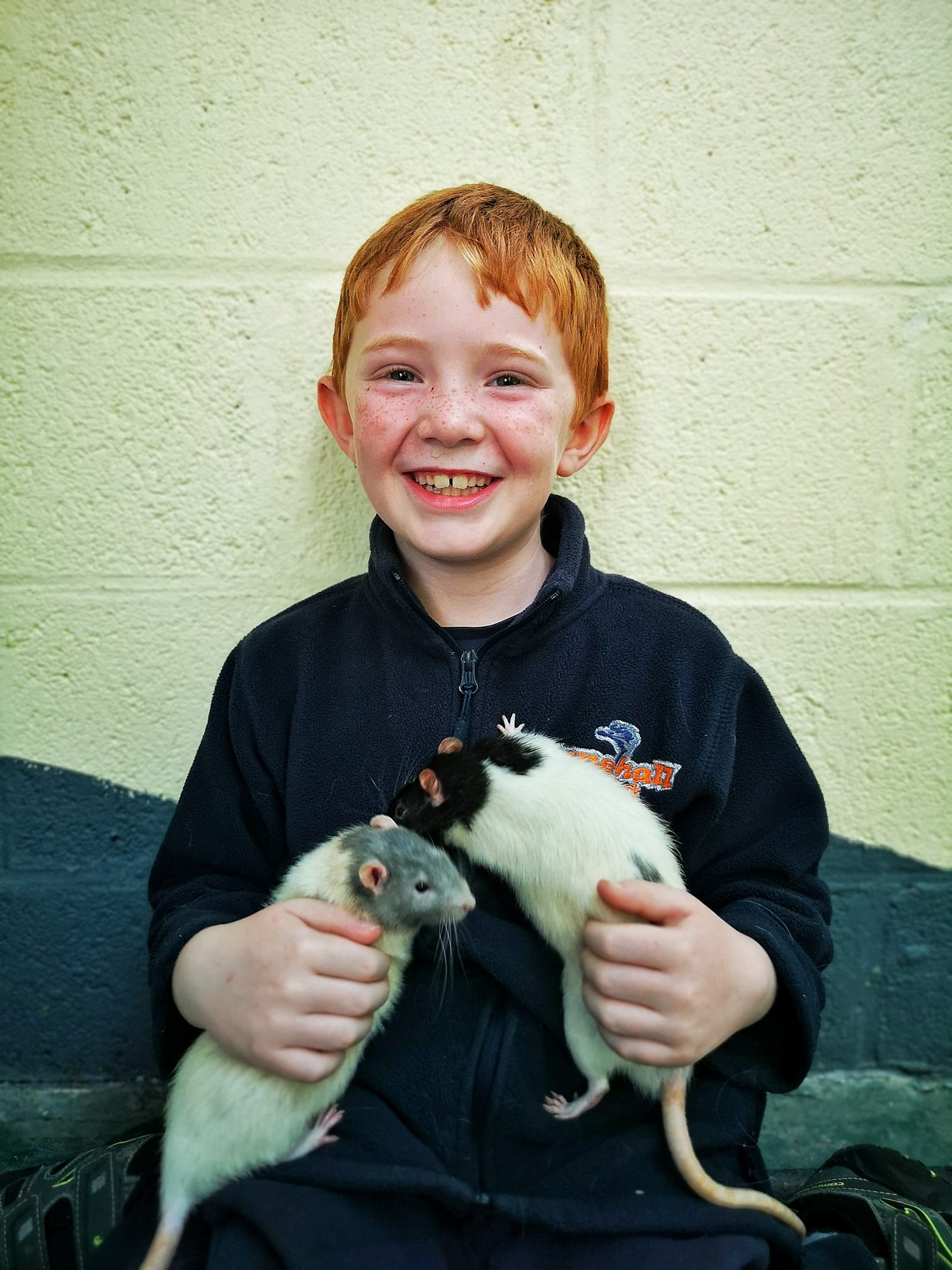 Our new Fancy... - Stonehall Visitor Farm & Wildlife Park | Facebook