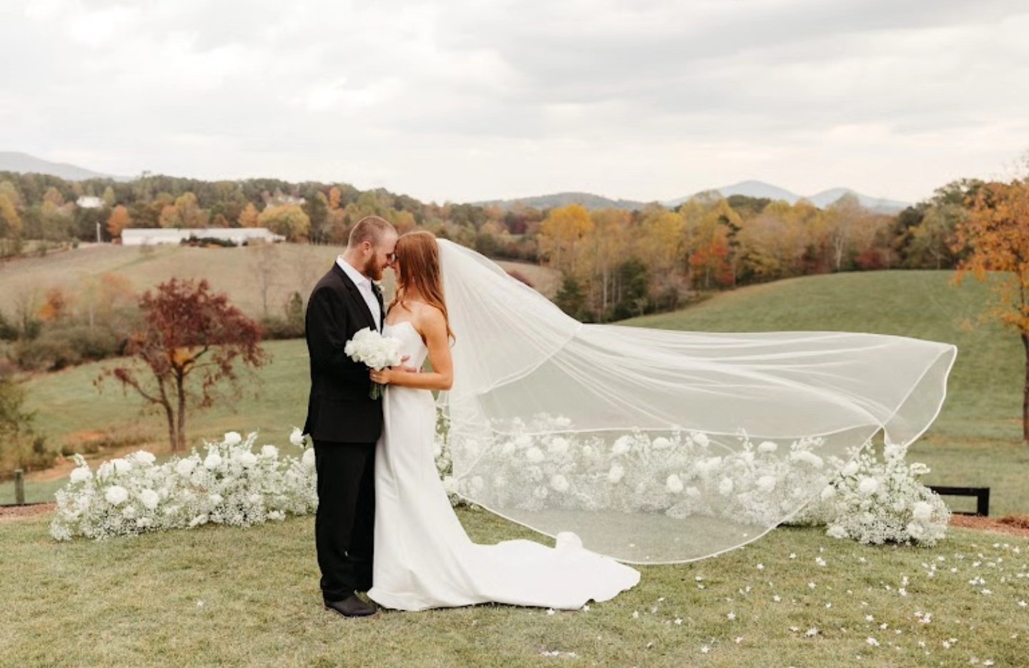 The Overlook at KC Bison Ranch | Dahlonega GA