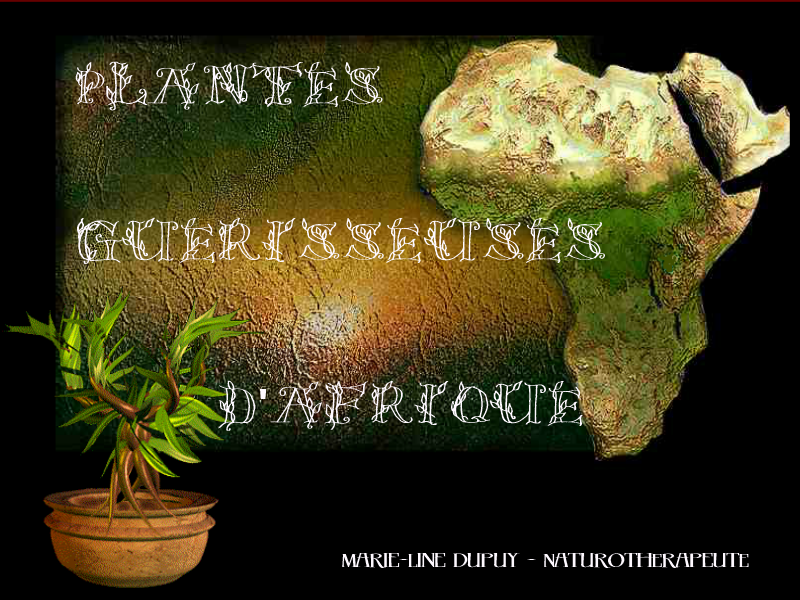 Médecine Naturelle, Féminine, Intuitive & Divine - Pharmacopée d ...