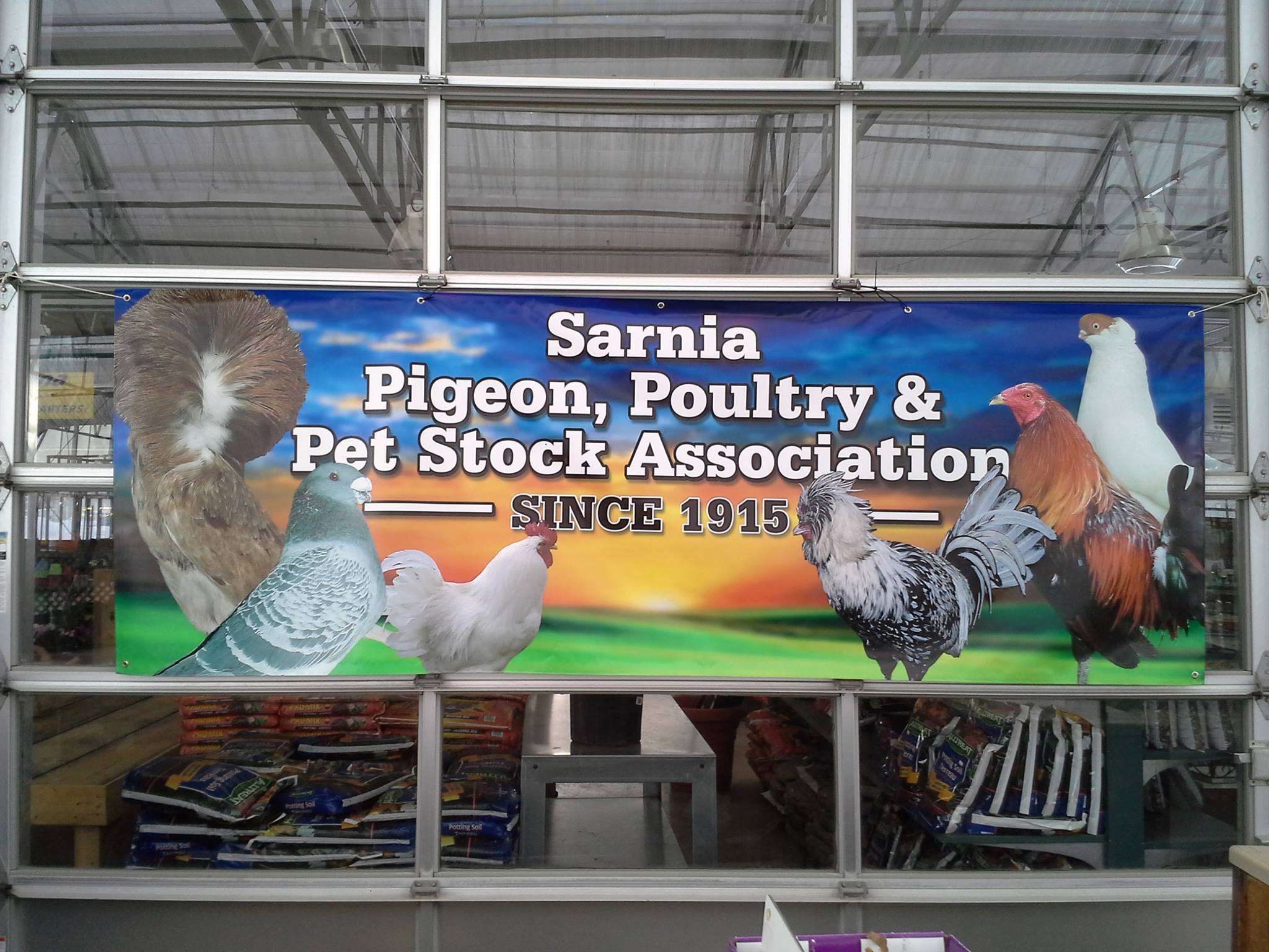 Sarnia Poultry Pigeon And Pet Stock Association Home Facebook