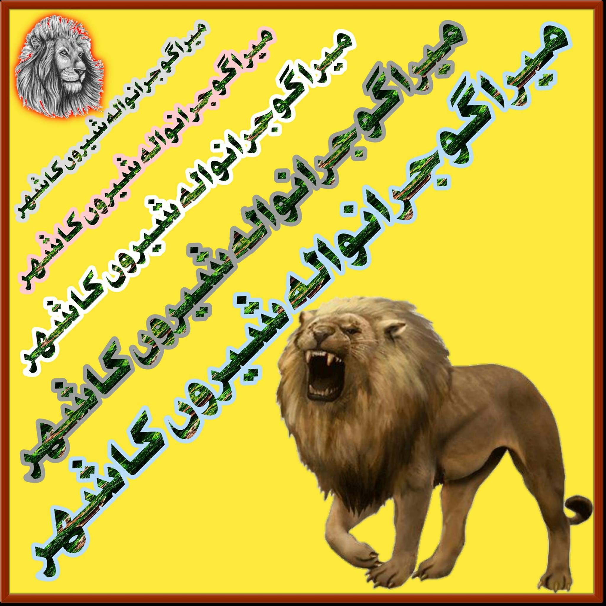 میرا گوجرانوالہ شیروں کا شہر