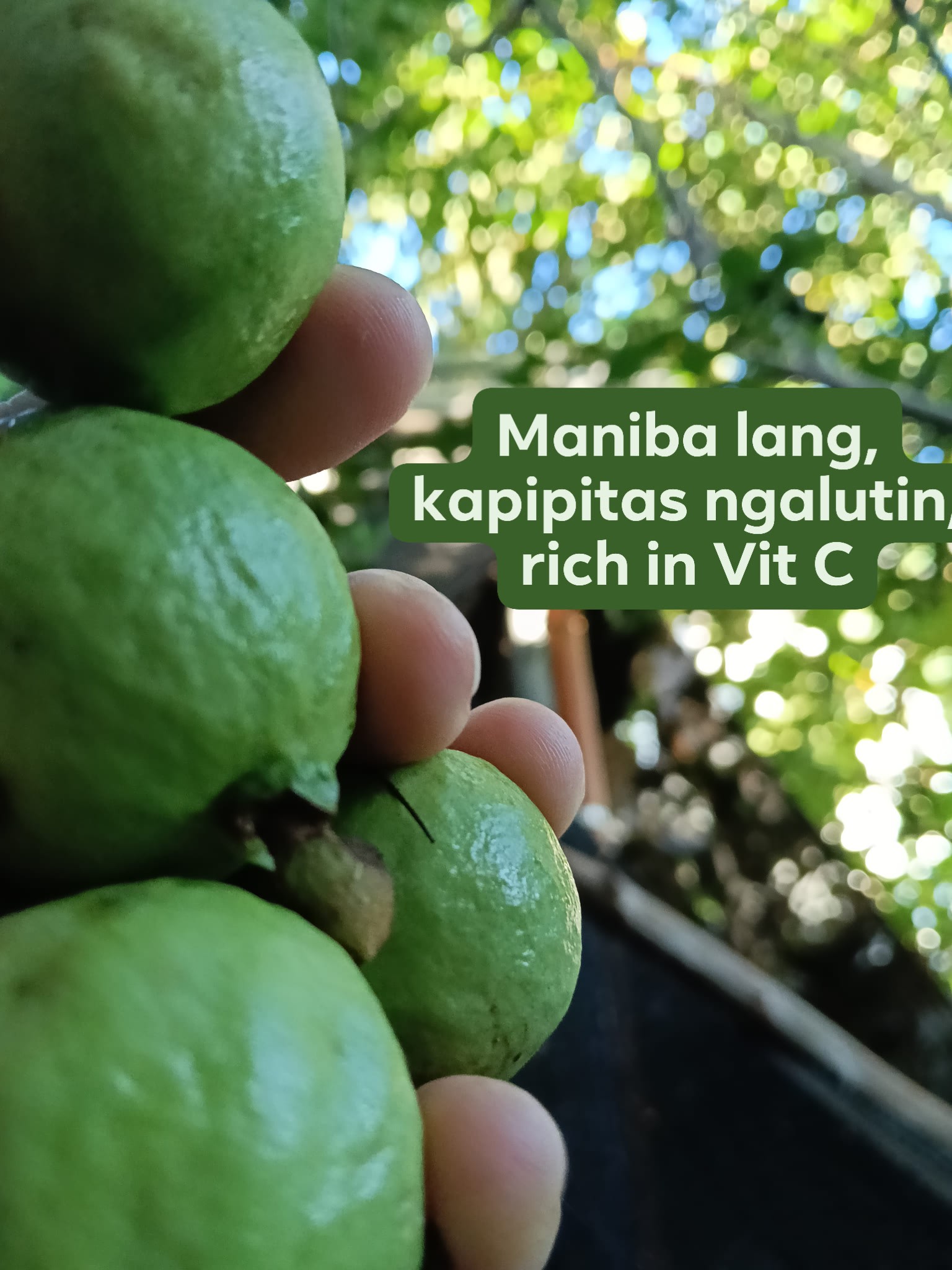 Maniba lang kapipitas, ngalutin,... - Ana Liezl Jardino Tinao | Facebook