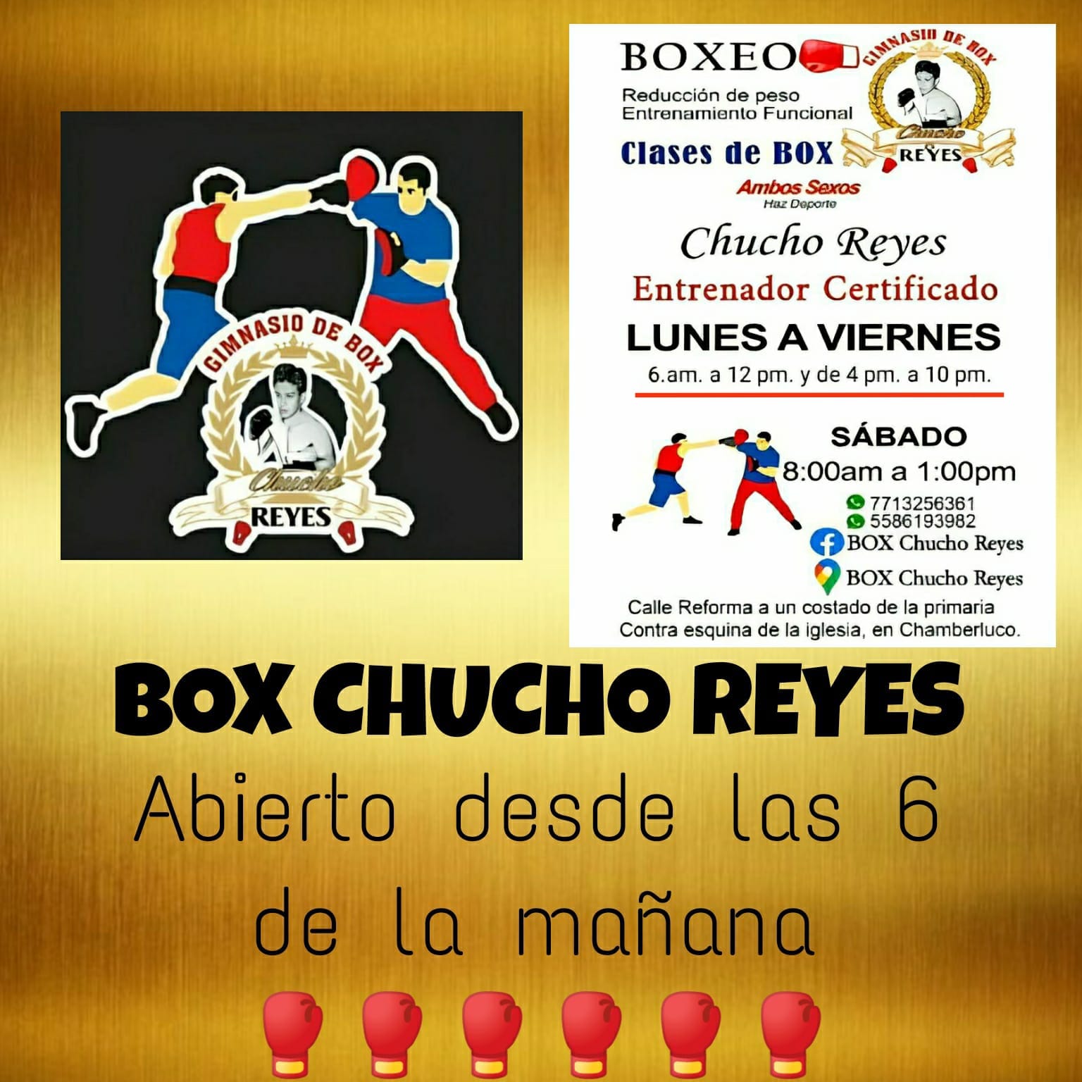 BOX Chucho Reyes | Tezontepec