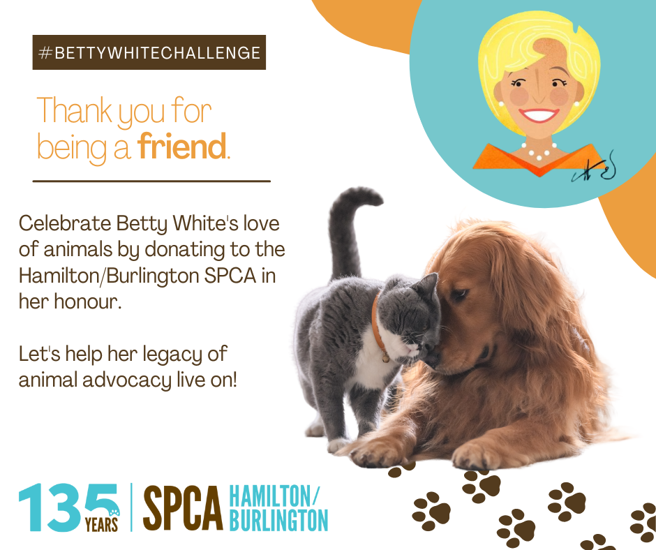 One year ago today the world... - Hamilton/Burlington SPCA | Facebook