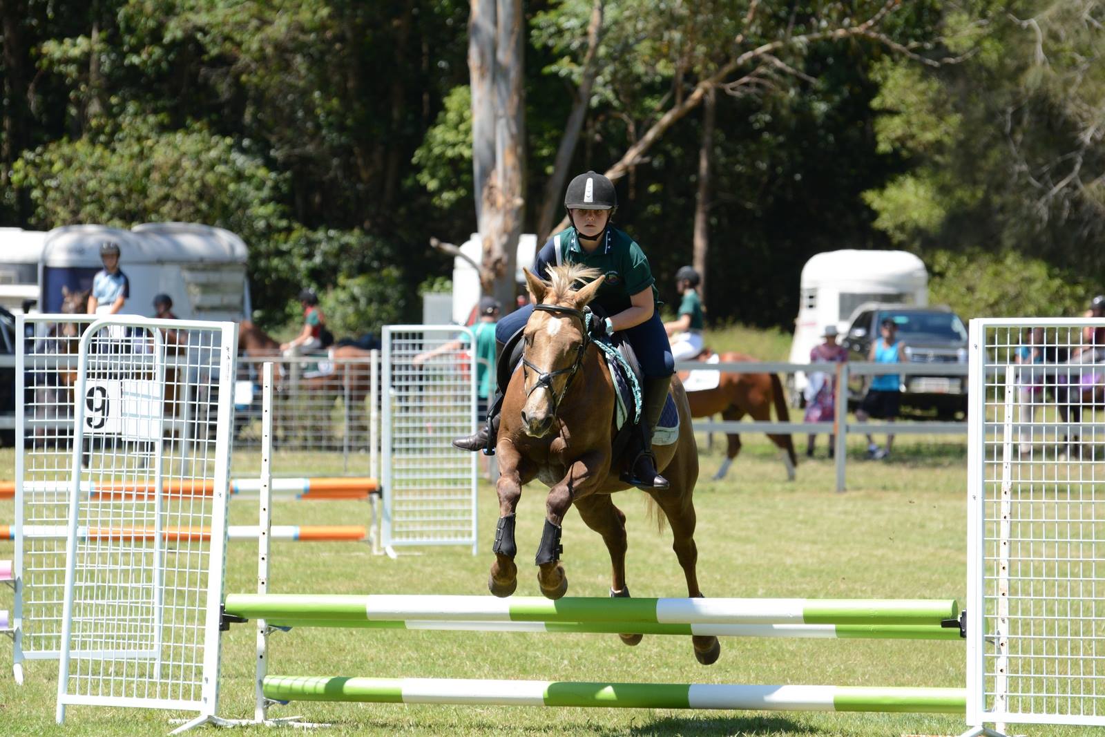 Matthew Flinders Anglican College | Buderim QLD