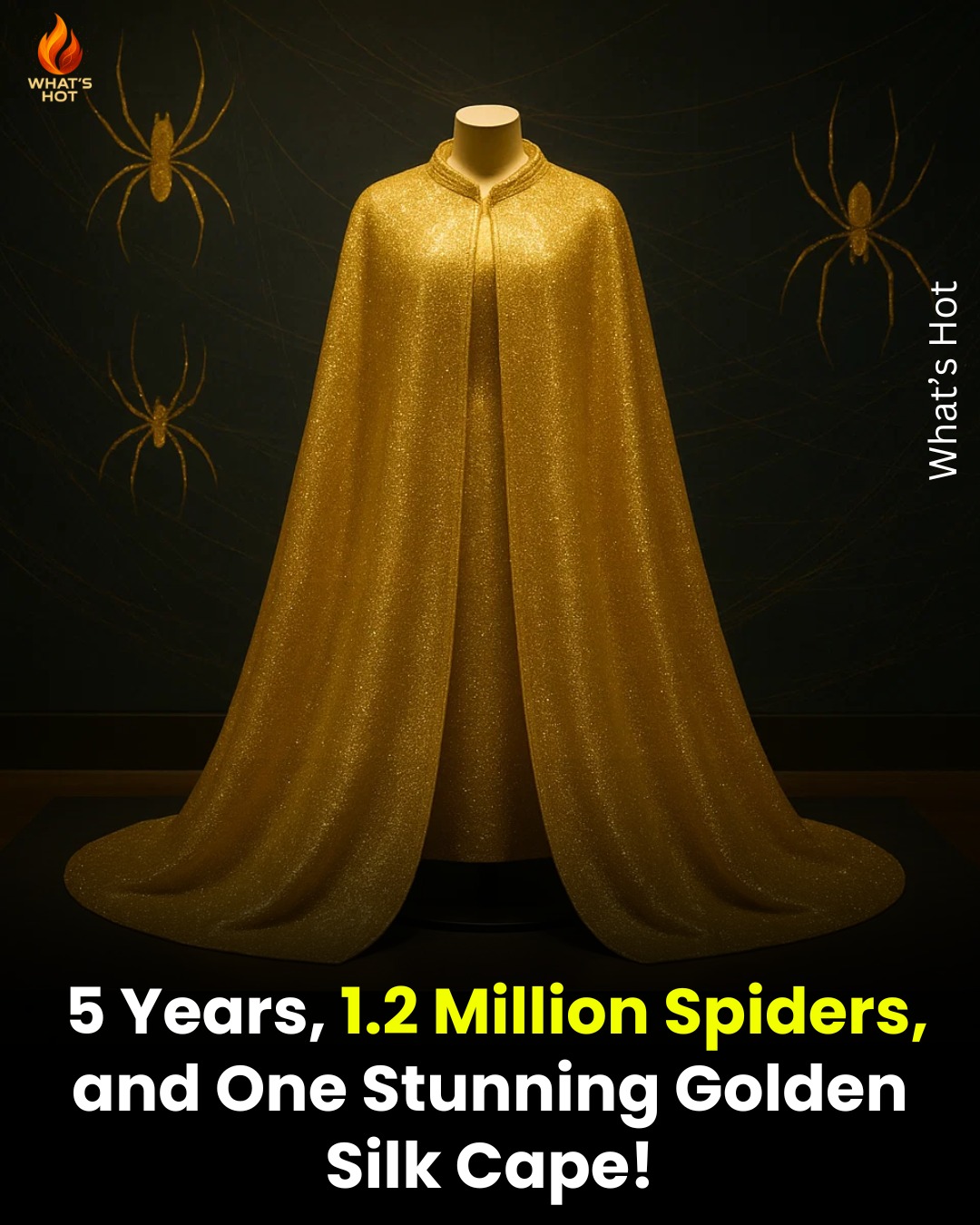 Two years of dedication, 6,000 hours of intricate embroidery, and the delicate touch of 1,200,000 spiders! Behold the Silk Cape crafted from the precious spider silk threads. Join us at the Golden