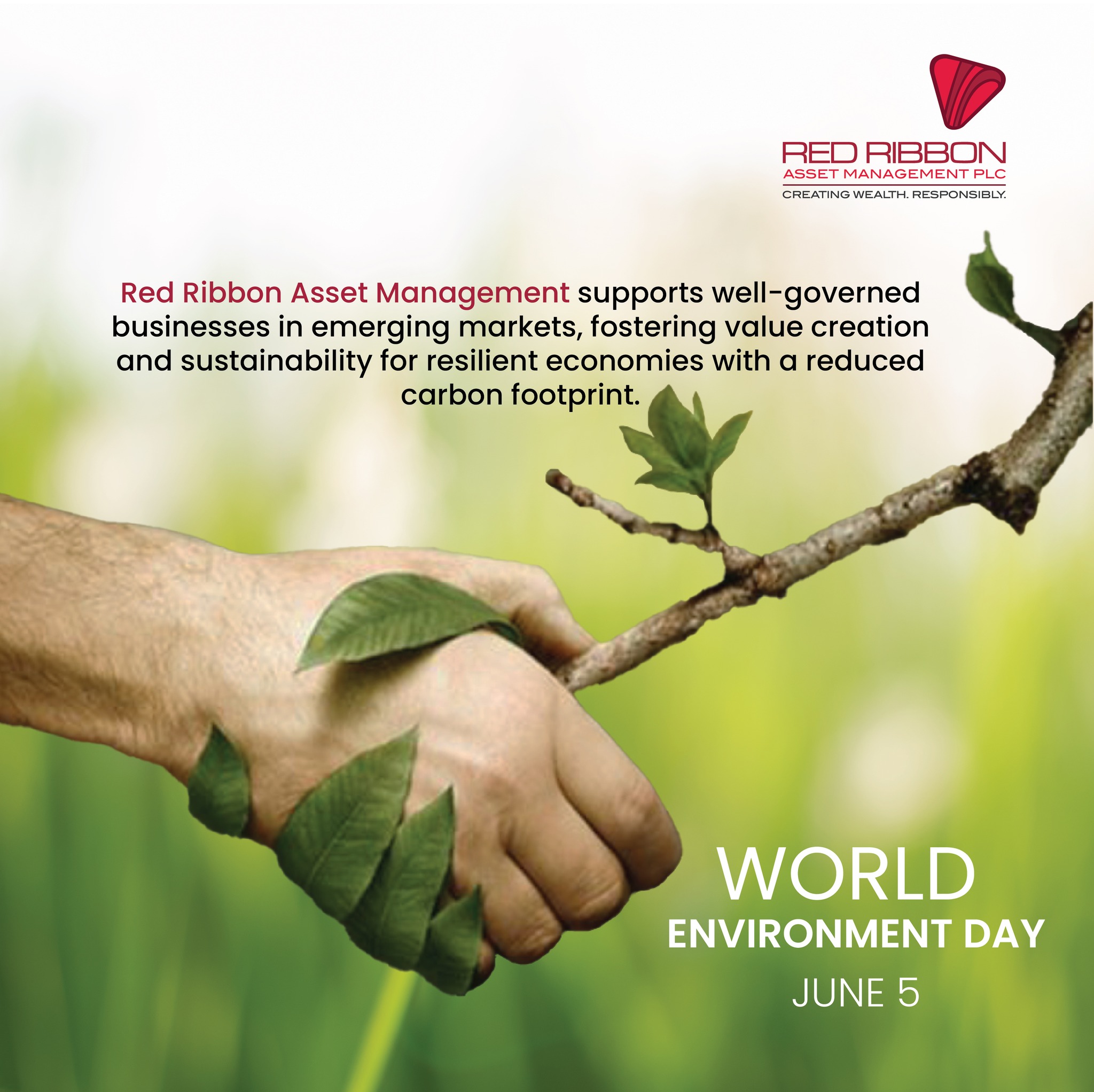 Happy World Environment Day!... - Red Ribbon Asset Management
