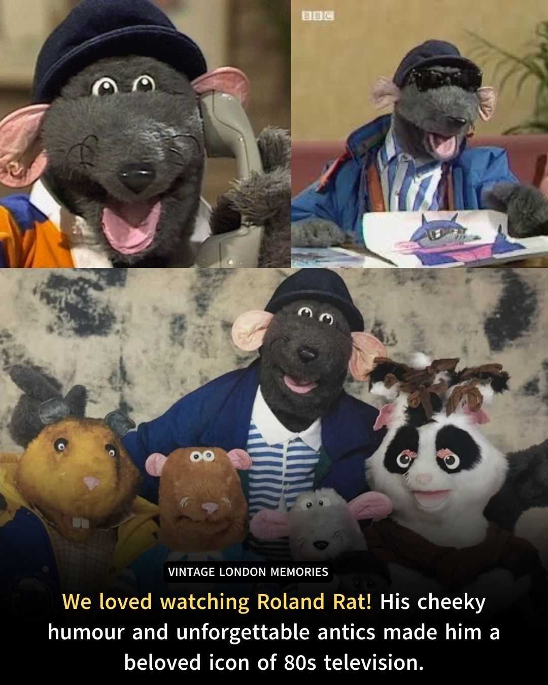 Vintage - In the early 1980s, a cheeky rodent named Roland Rat scurried ...