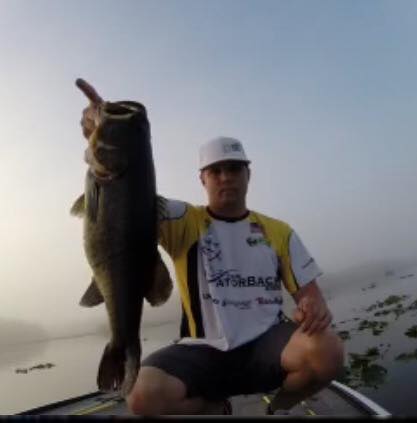 GatorBack Rods | Orlando FL