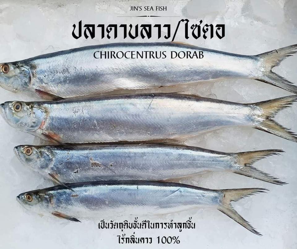 Jin's Sea Fish จำหน่ายเนื้อปลาทะเลแล่ทุกชนิด | Samut Sakhon