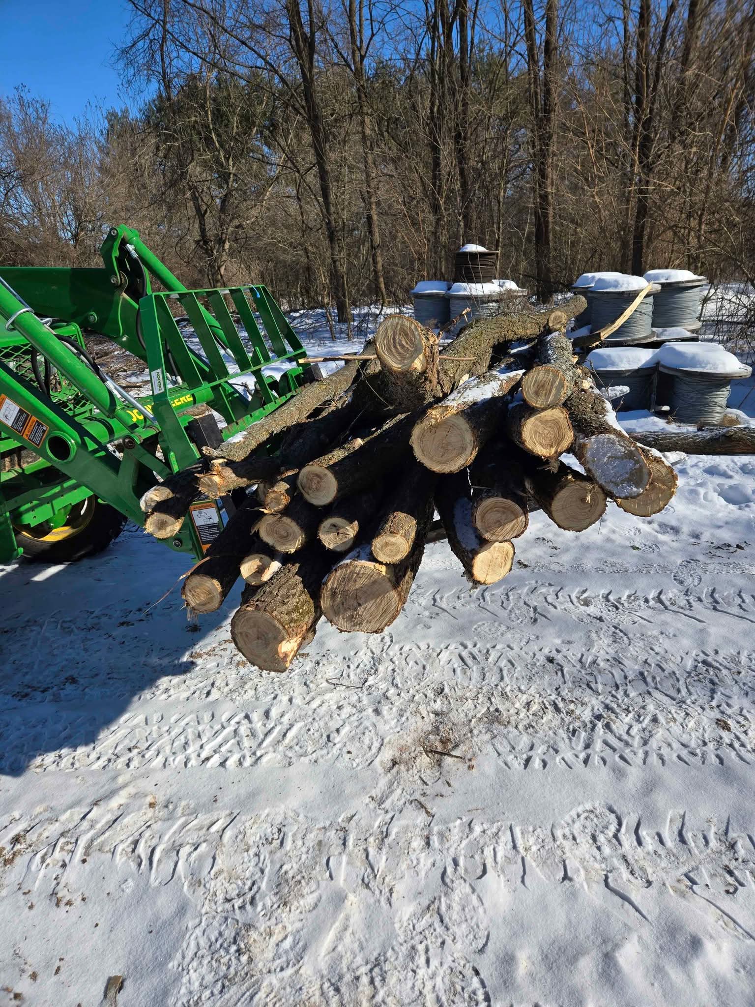 Black Locust Posts Black Locust – Invasive Species Centre