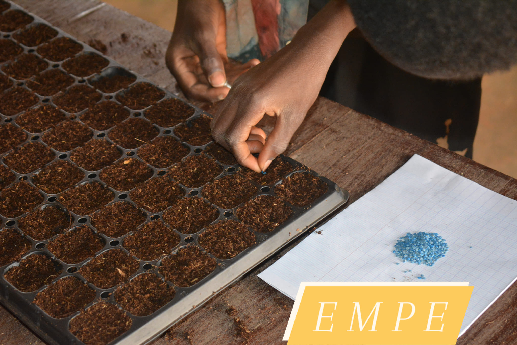 [𝗘𝗠𝗣𝗘 -... - Ecole pour Micro Projet d'Entreprise - EMPE | Facebook