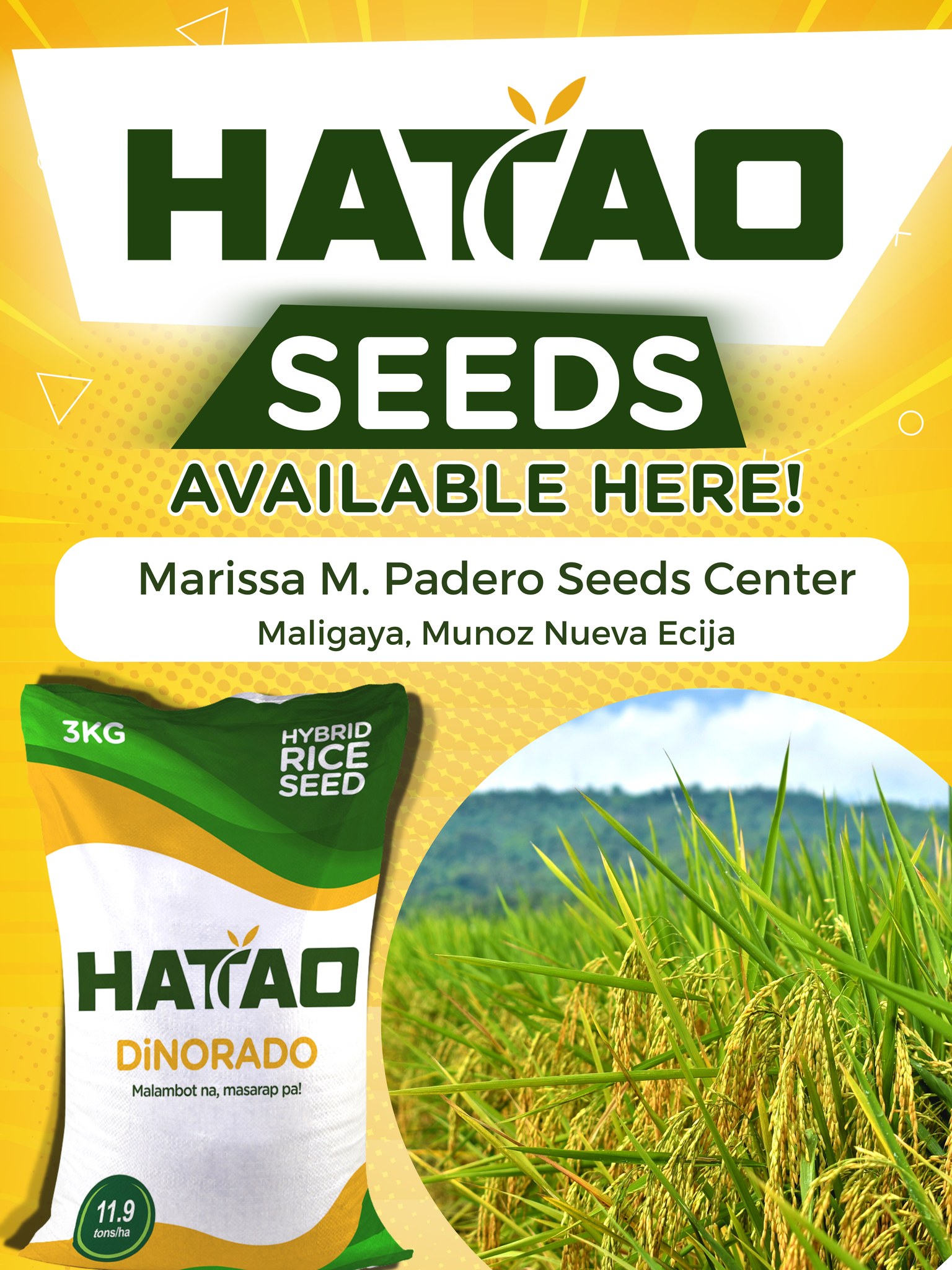 TAO Seeds Hatao - Hatao Dinorado available na sa Nueva... | Facebook