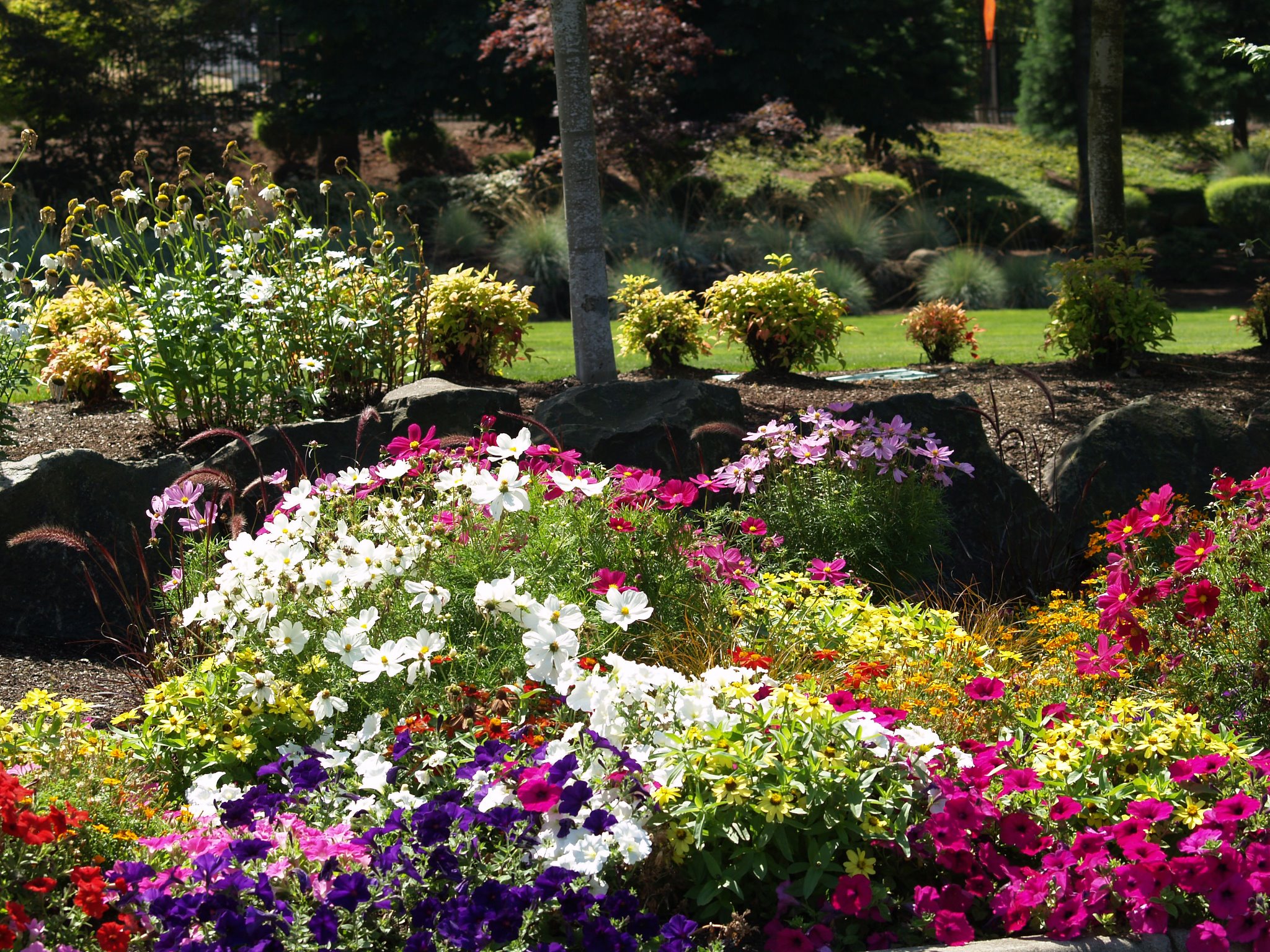 Landscape Management & Services, Inc. | Vancouver WA