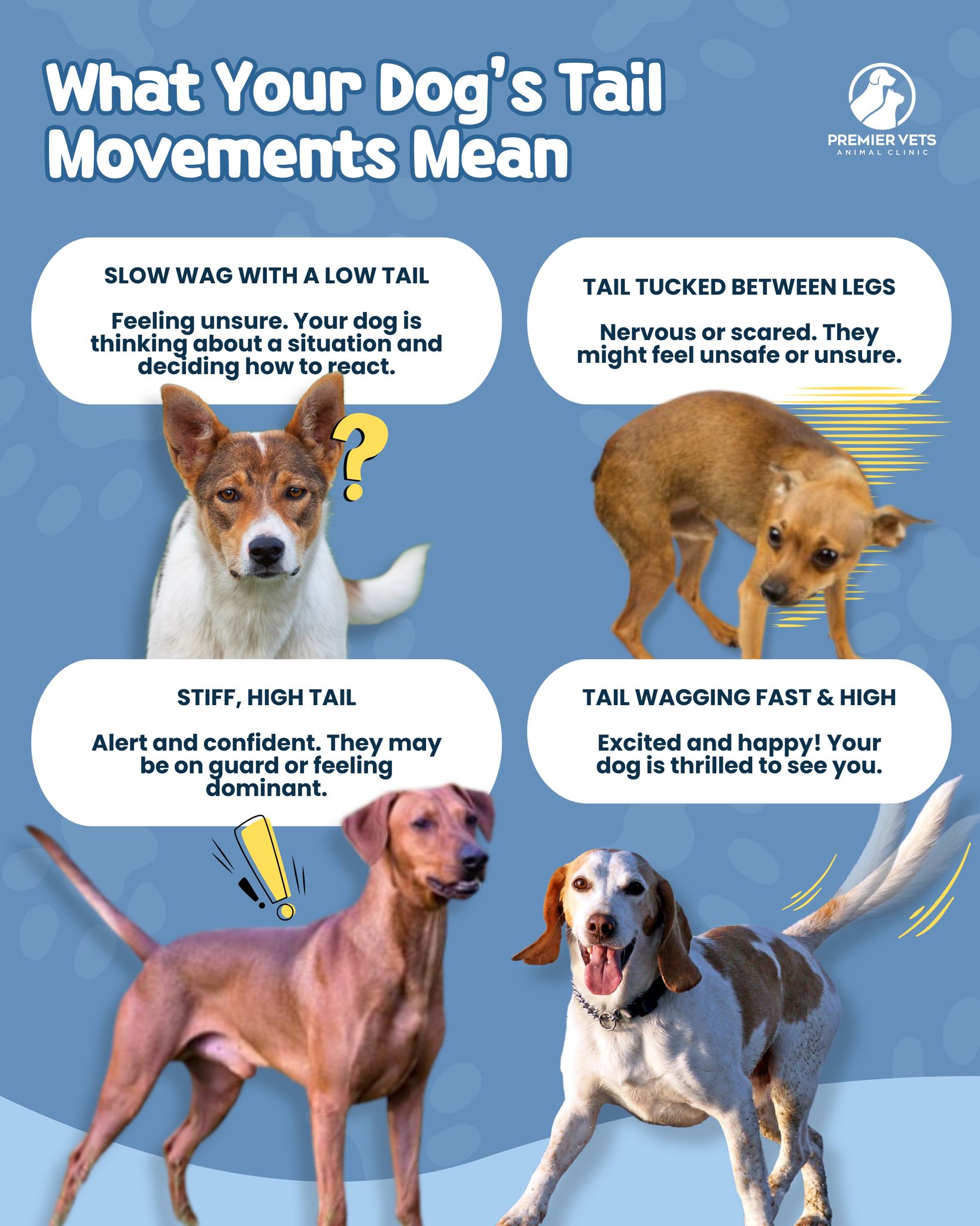Ever wonder what your dog’s... - PremierVets Animal Clinic | Facebook
