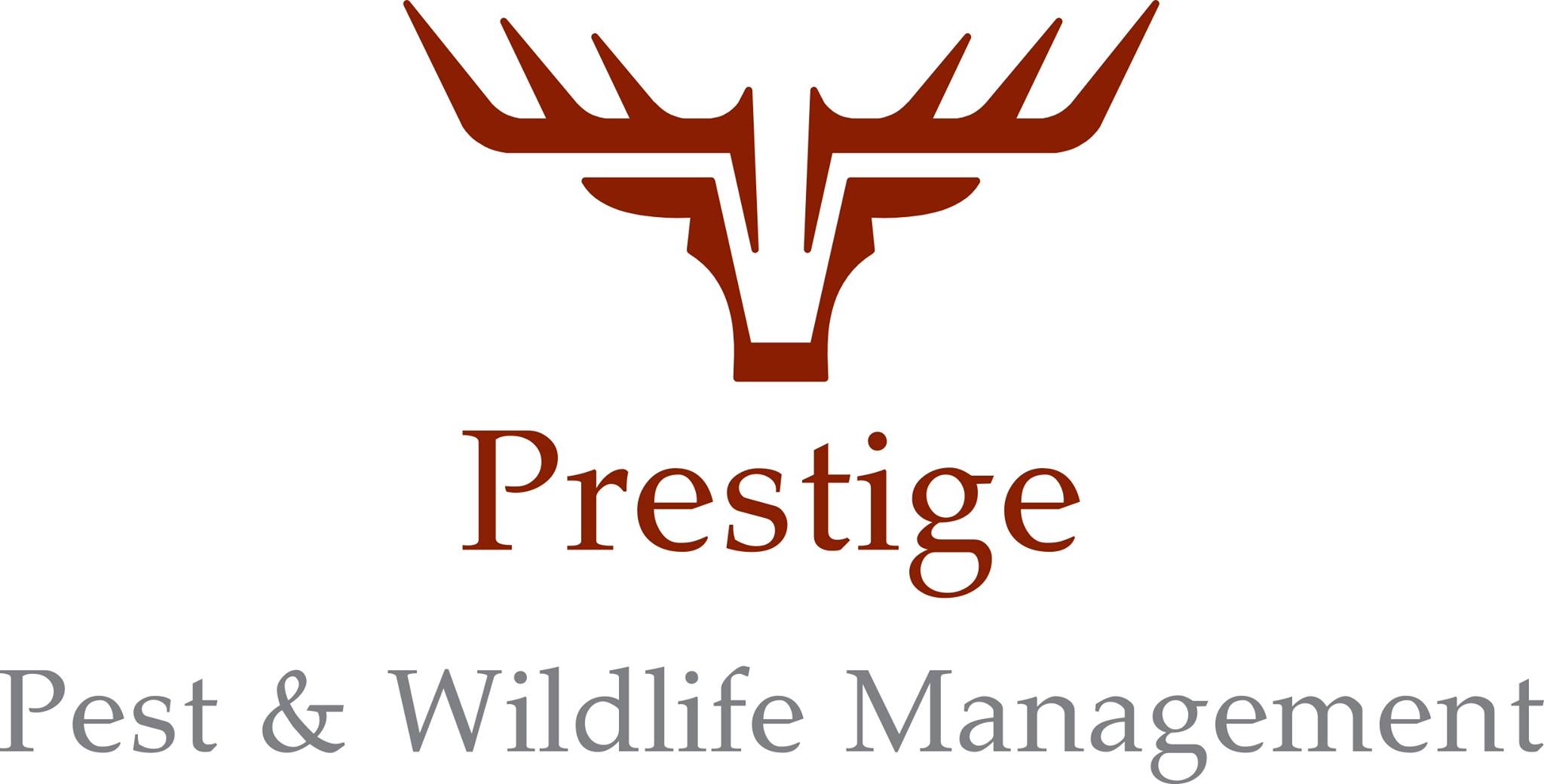 prestige-pest-control-wildlife-management-haverhill