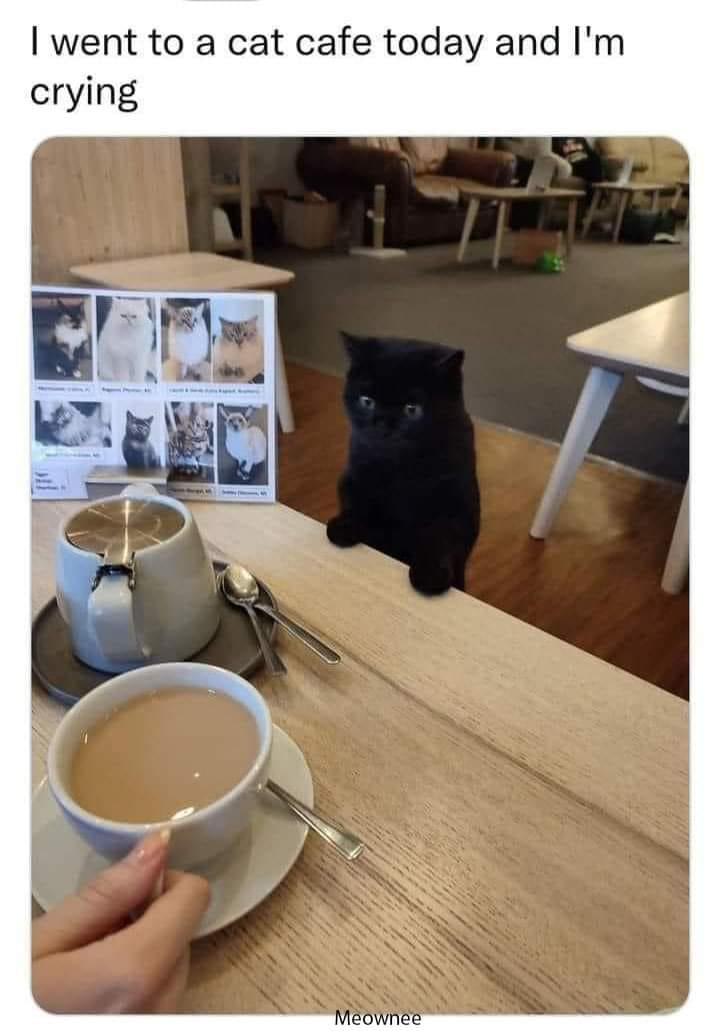Everyday Wholesome