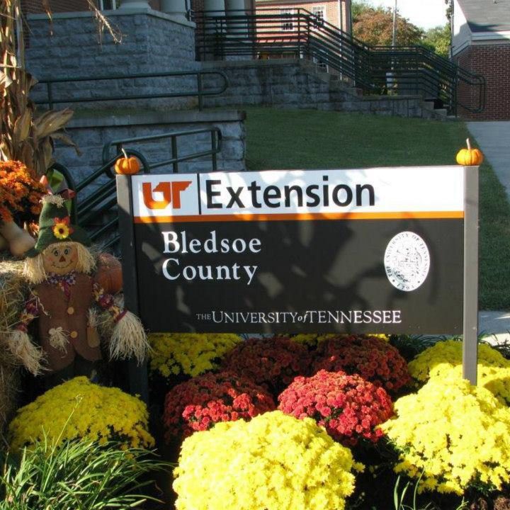 UT- TSU Extension... - UT- TSU Extension Bledsoe County