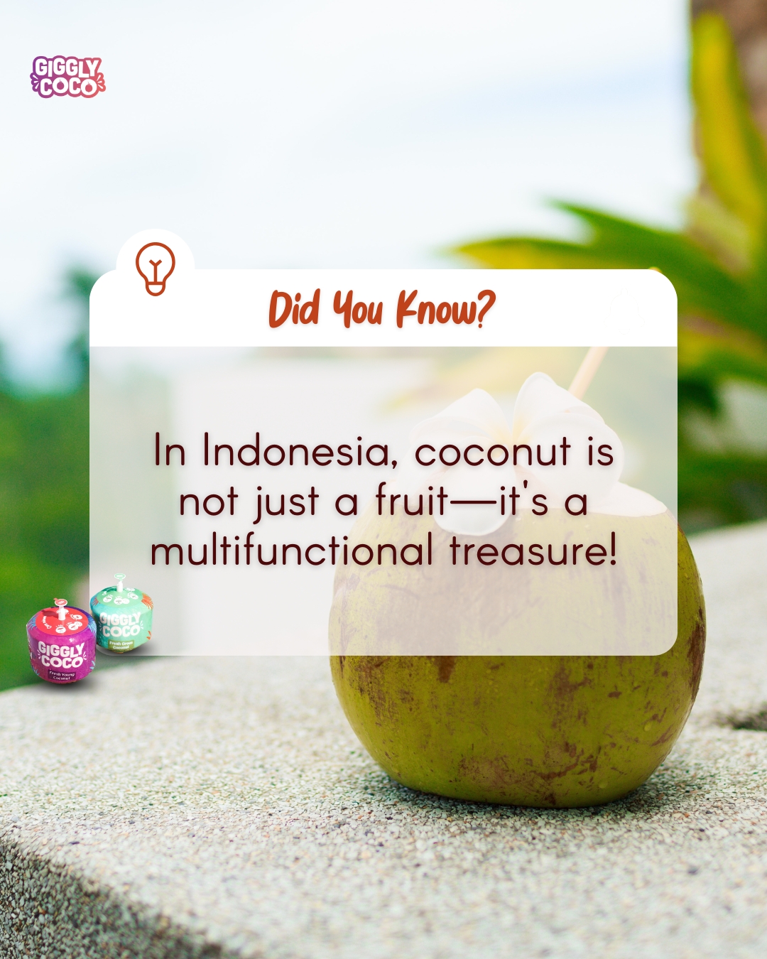 Giggly - In Indonesia, coconut is not just a fruit—it's a ...