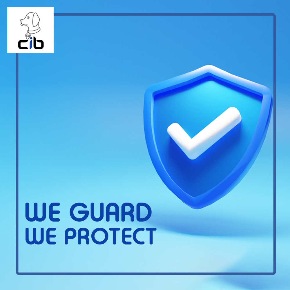 We guard. We protect POS Camera System... - CIB Security Inc