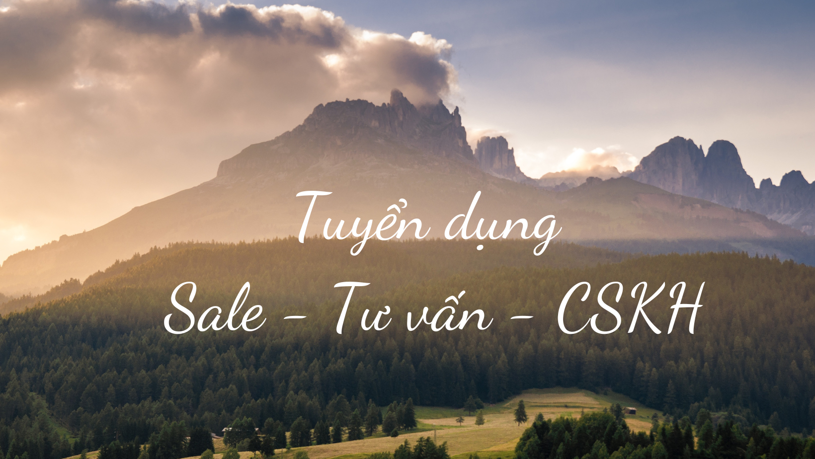 TUYỂN DỤNG SALE - TƯ VẤN - CSKH | Dạ xin chào anh chị, em muốn tìm job ...