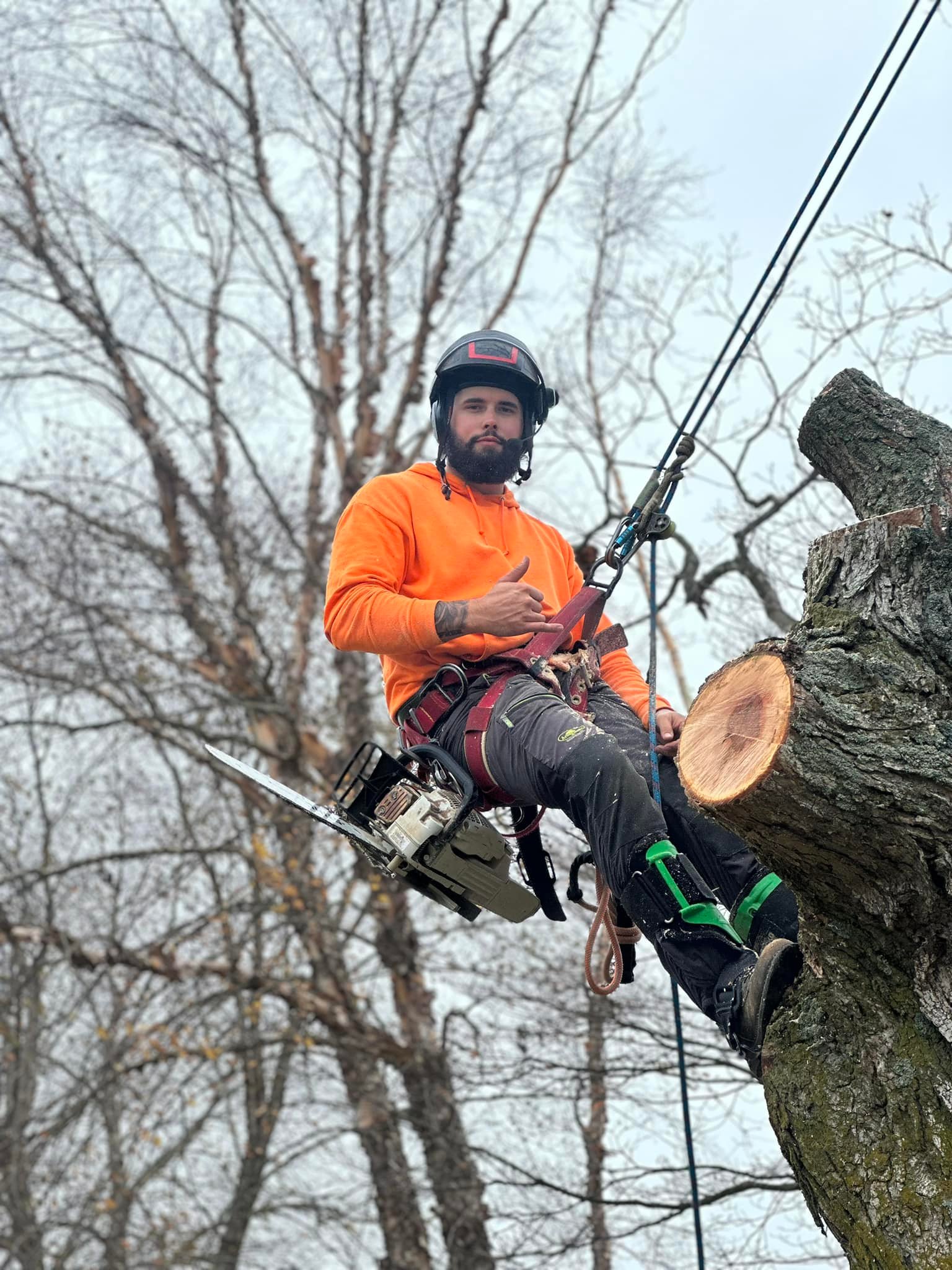 Here are a few actions shots... - Highline Tree Services, LLC | Facebook