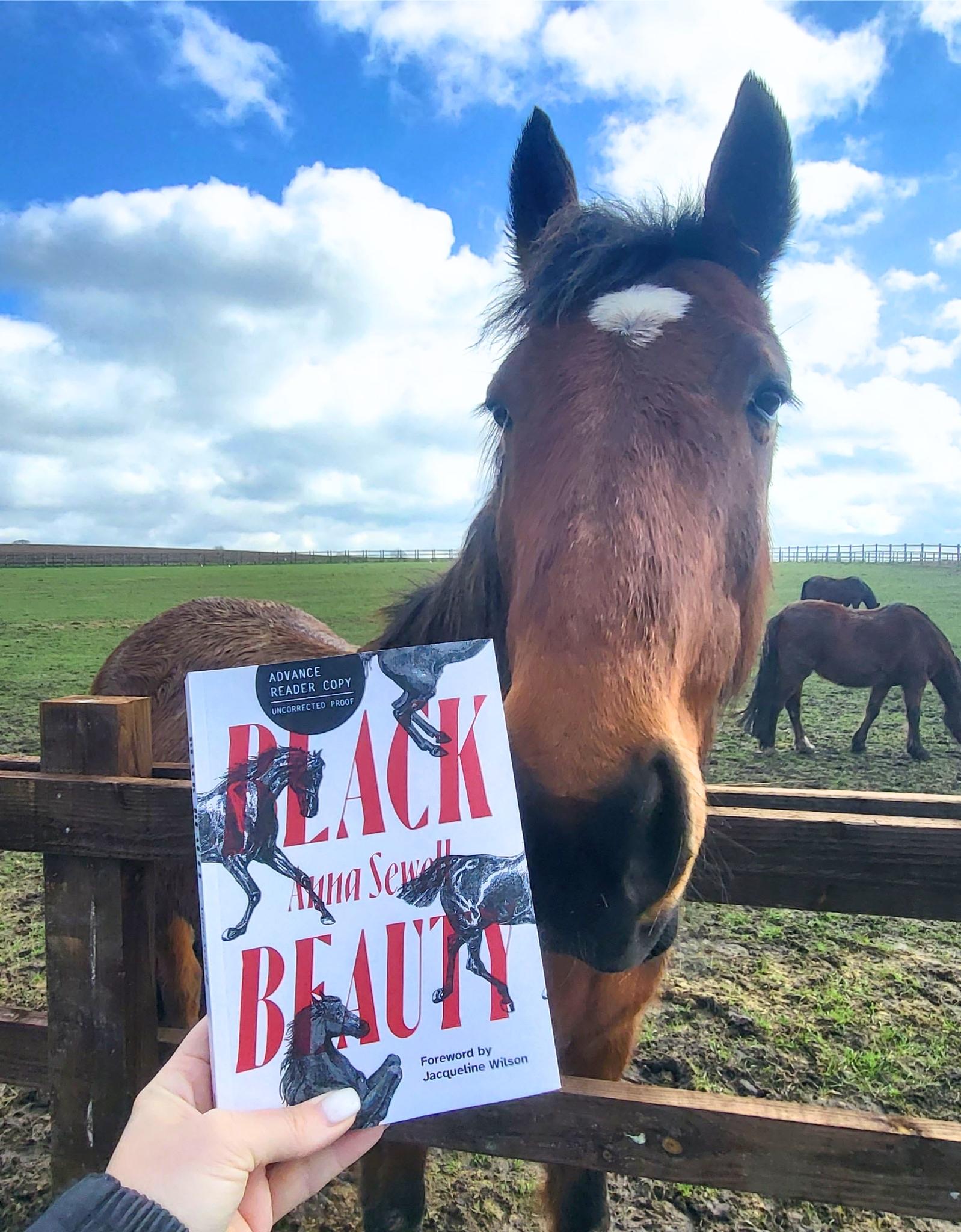 🎉📕📣 EXCITING NEWS! 📣📕🎉 We are... - Redwings Horse Sanctuary