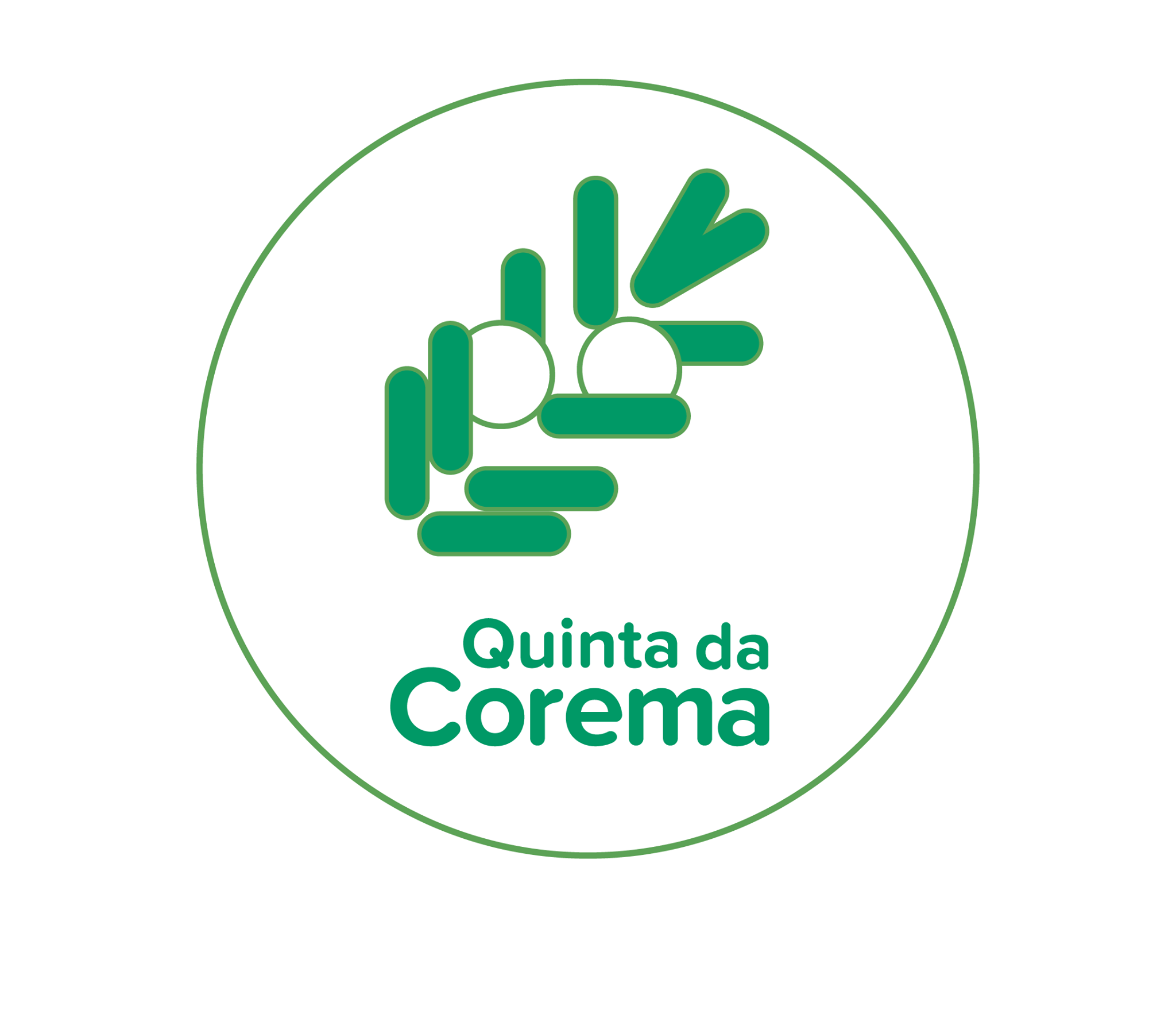 Quinta - Sistema digestivo de uma ave granívora! Bird digestive system ...