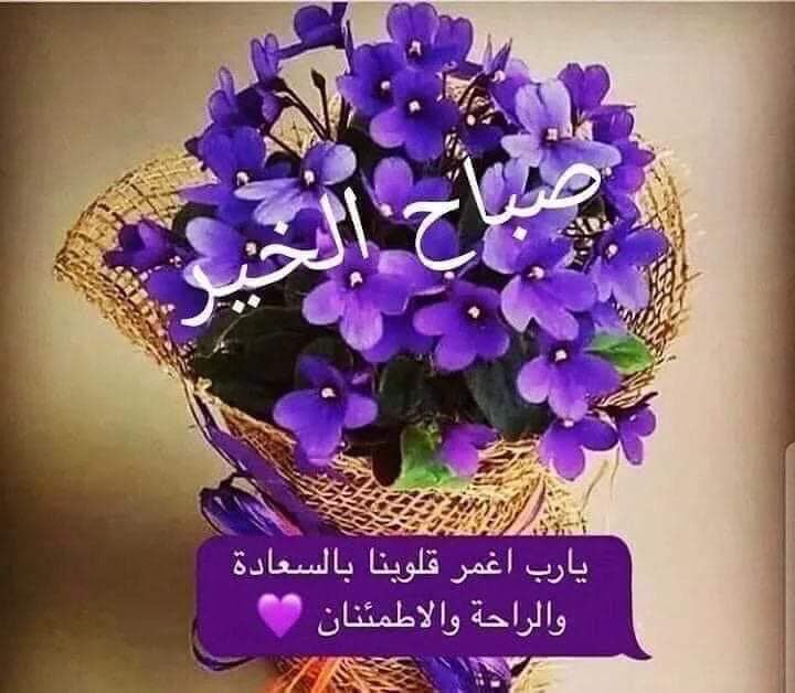 Pin On صباح ومساء الخير أحبتي
