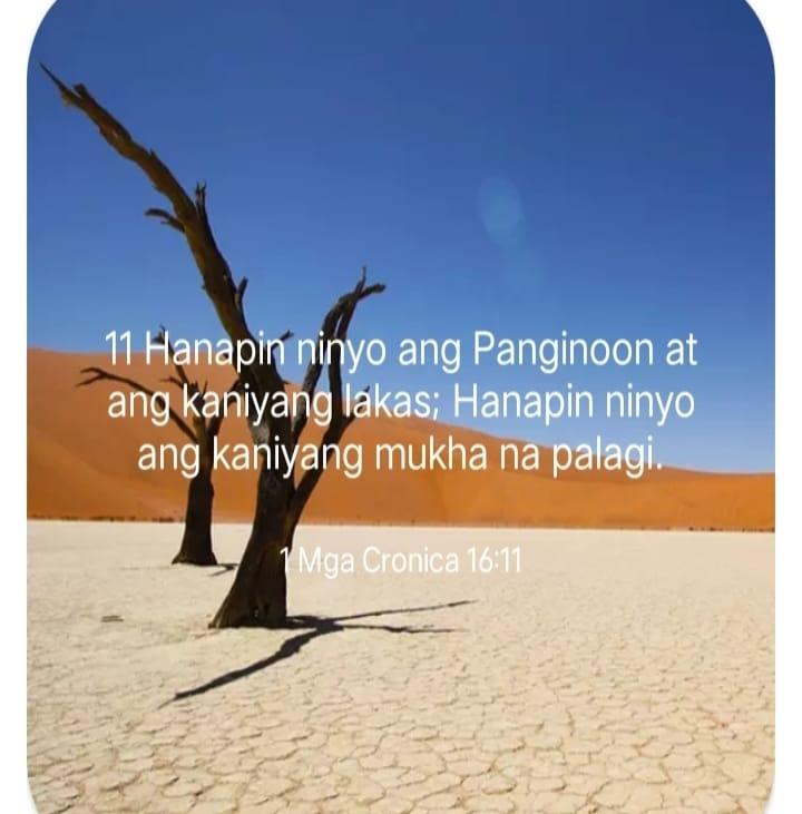 Damz Inspired | Cavite
