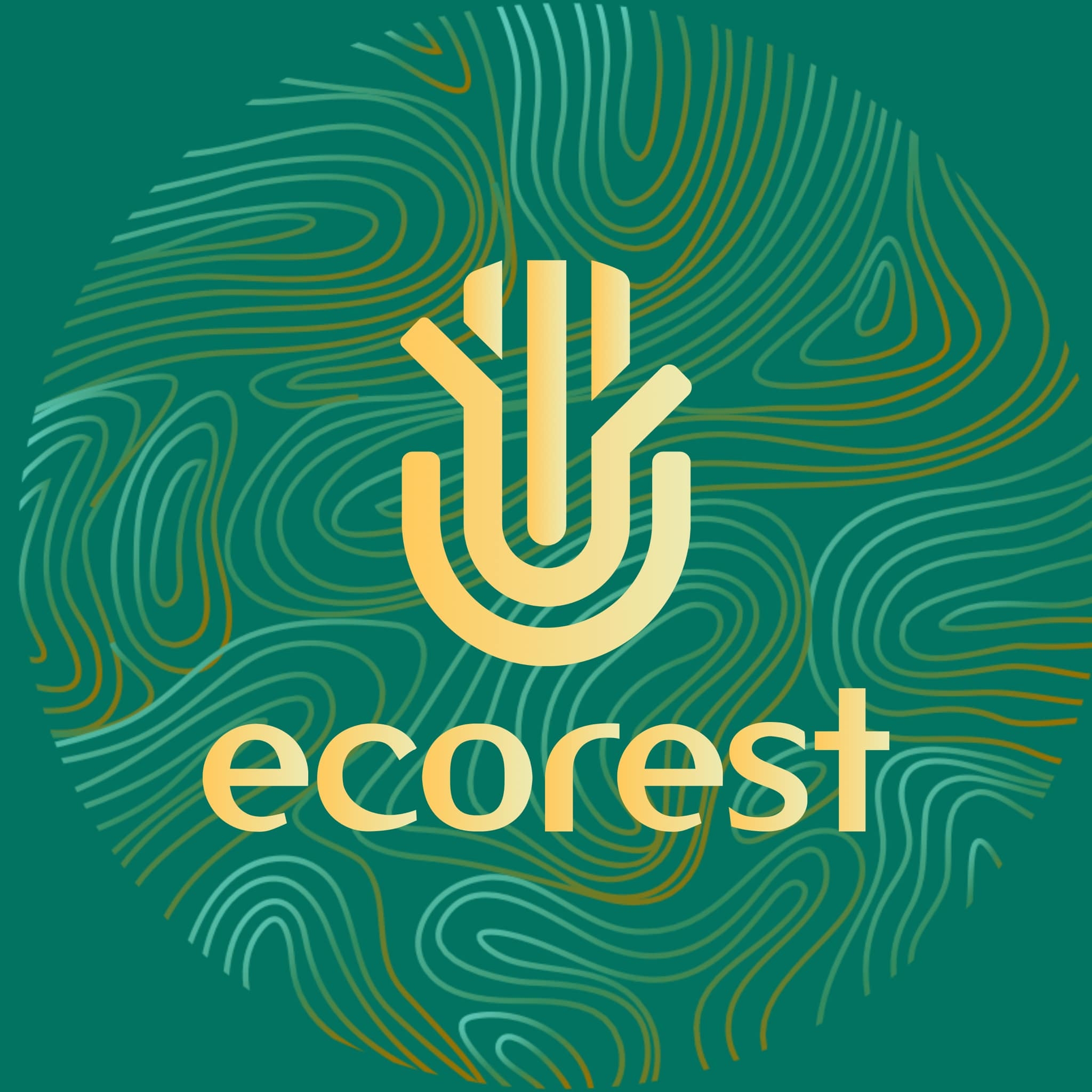 Phô diễn sức mạnh của ghế ngả cao cấp Fursys Wolke 💪 #ecorest #fursys # ...
