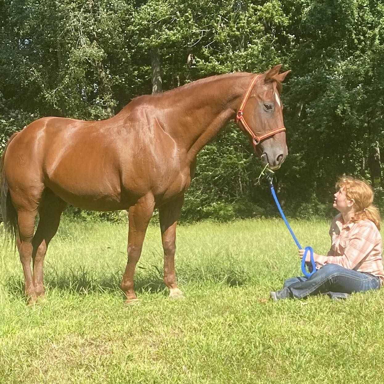 So proud of baby Zara. Been on a trailer less than 6 times. Expo like a ...