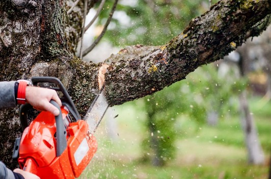 High Performance Tree Service LLC | Pittstown NJ