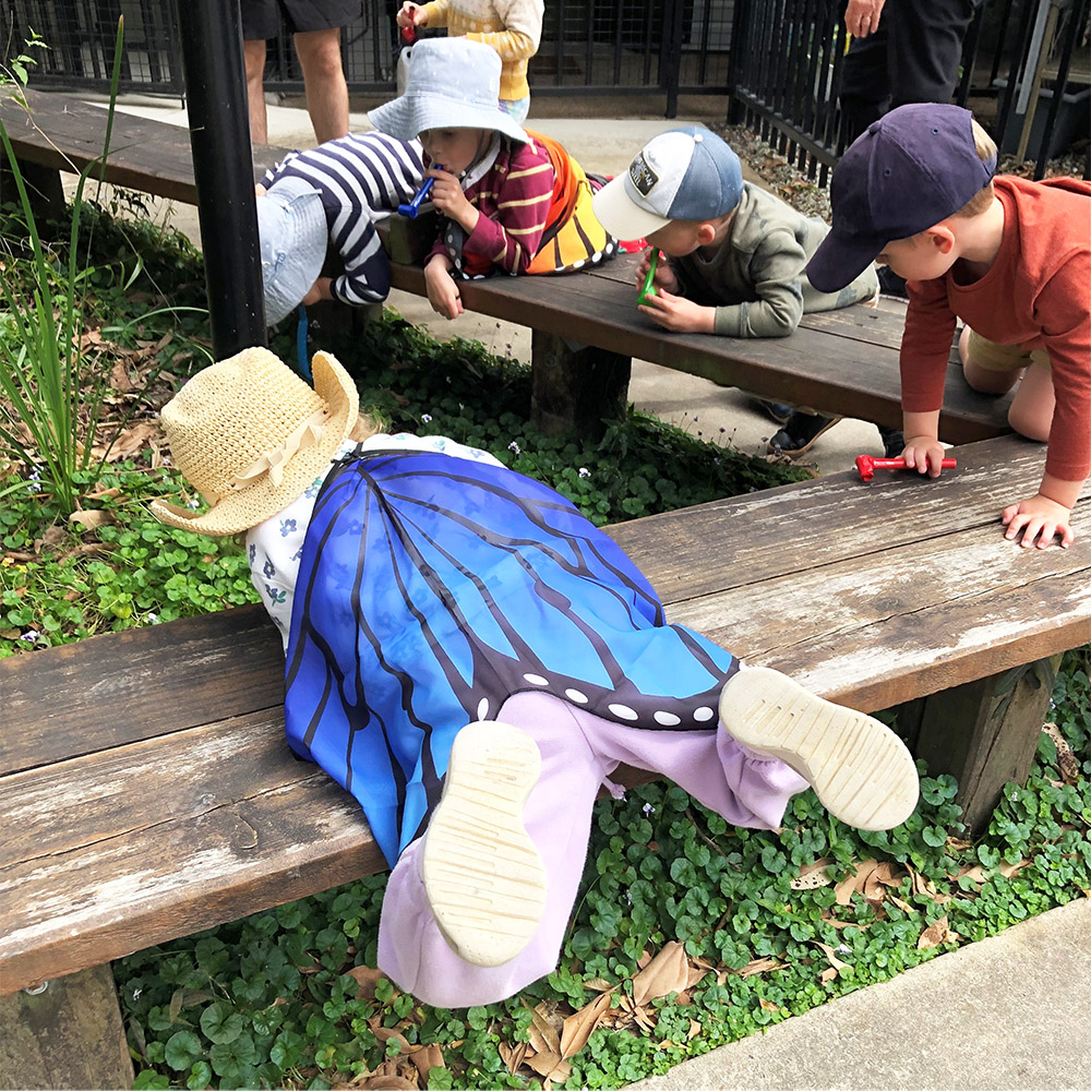 No ages are left out with... - Brisbane's Big Butterfly Count | Facebook