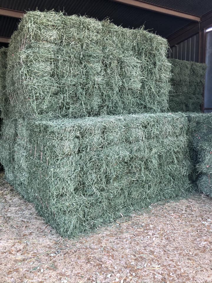 Cross L Farm & Ranch