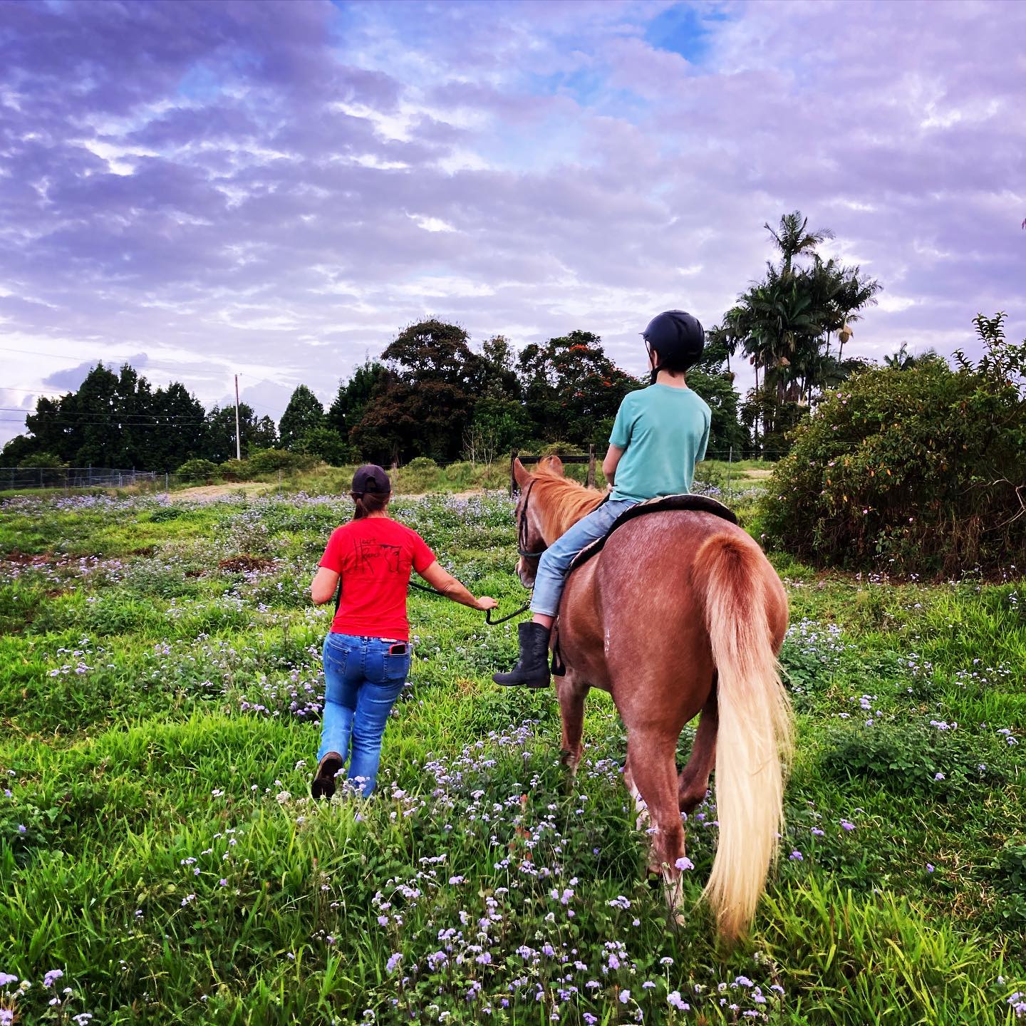Heart Ranch | Hilo HI