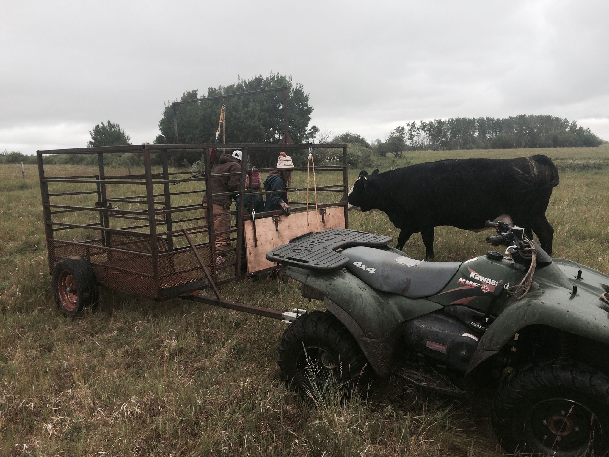 Drifting M Ranch