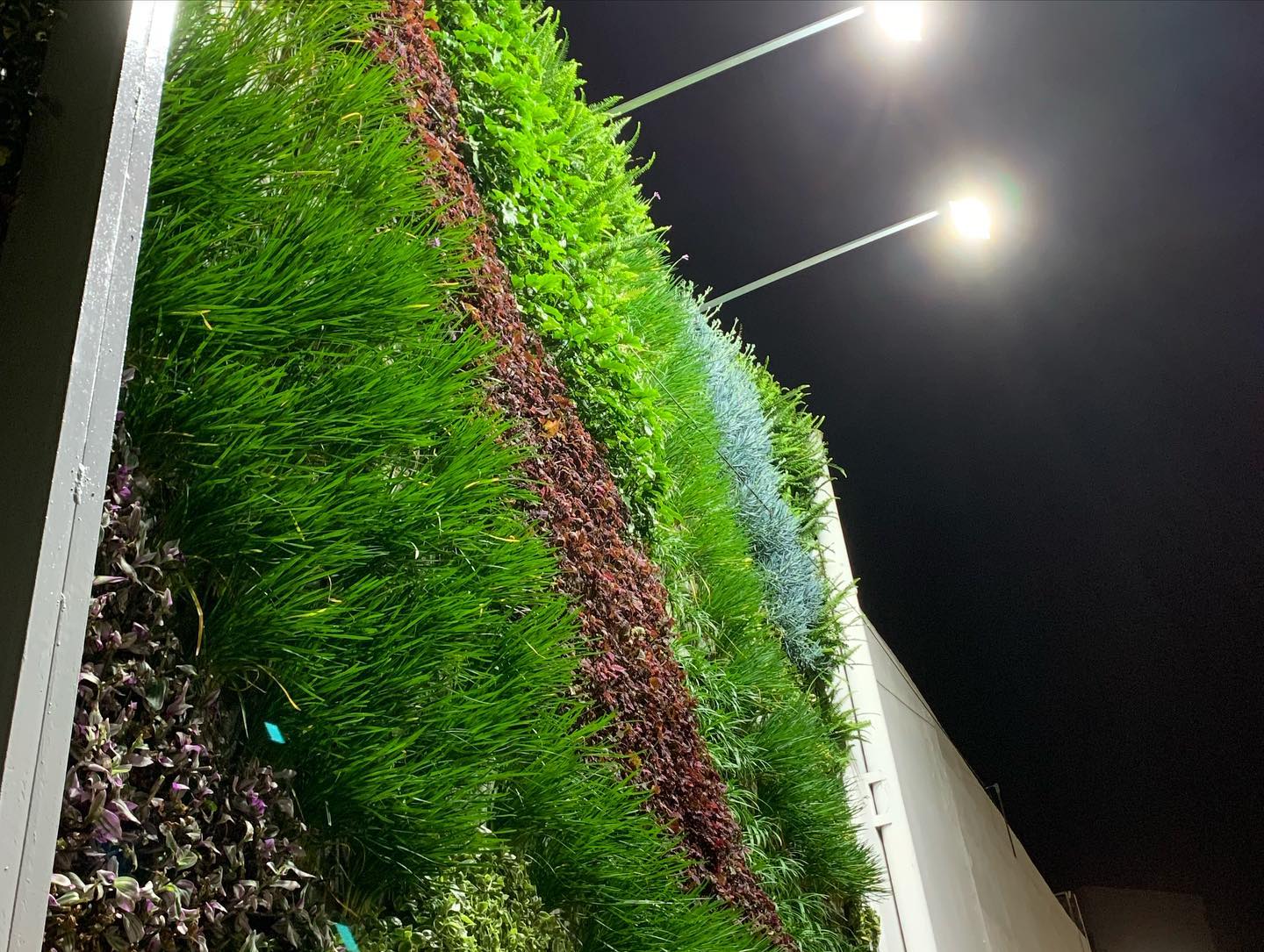 Vertitech - Jardines Verticales