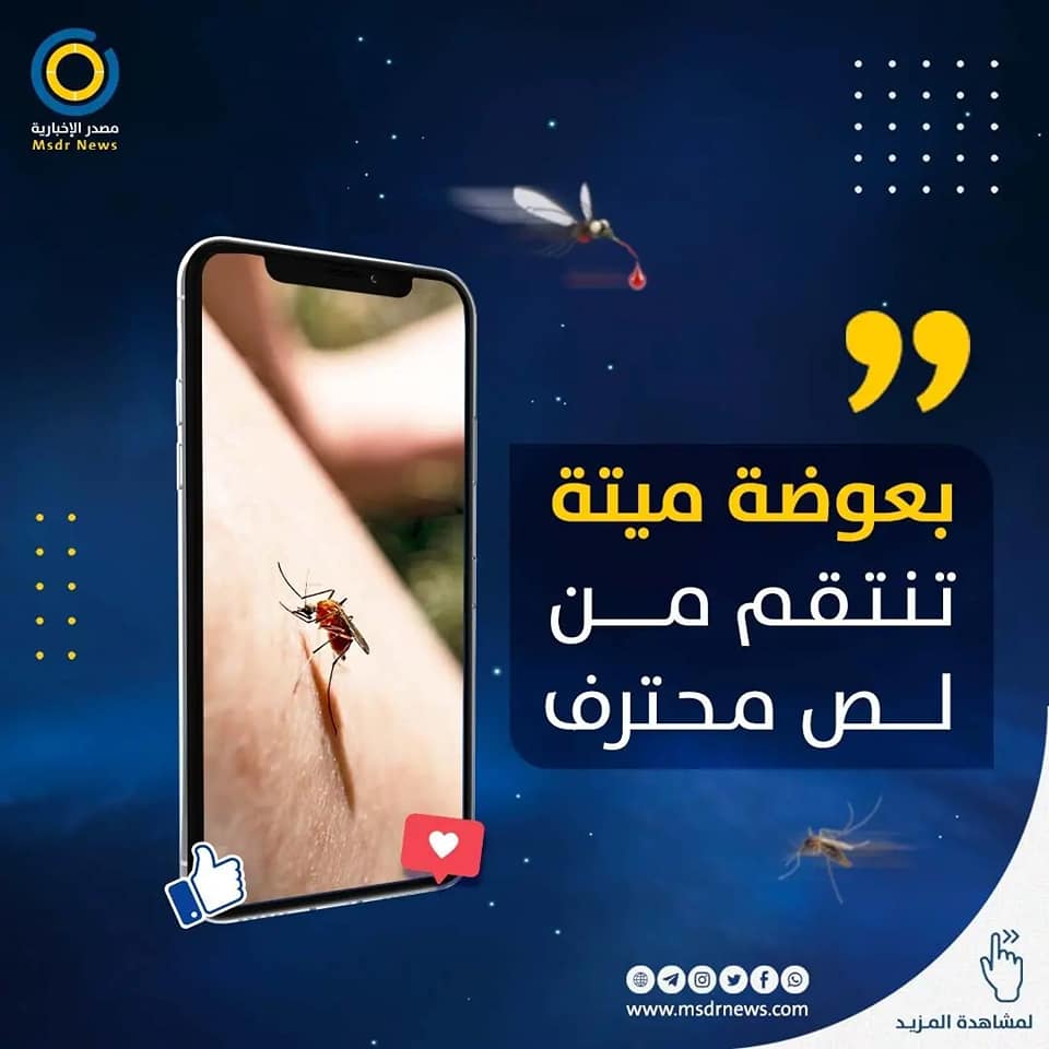 مصدر الاخبارية - بعوضة ميتة تنتقم من لص محترف