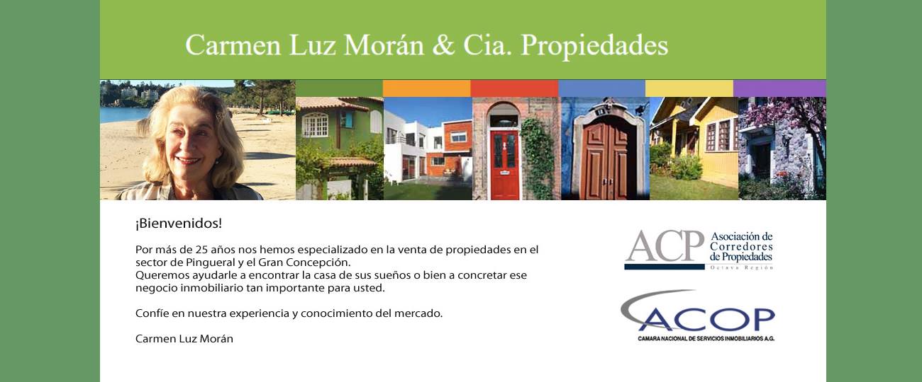 Carmen Luz Moran Propiedades