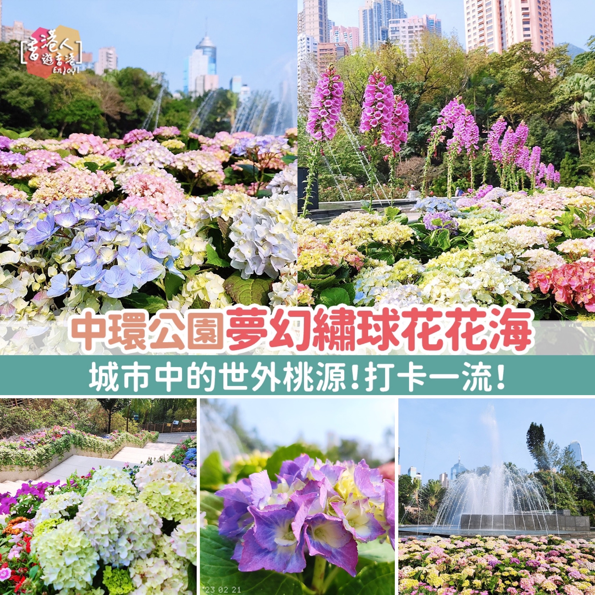 香港人.遊香港 hkppltravel - 香港好去處：【中環公園綻放夢幻繡球花花海！城市中的世外桃源 打卡一流！仲可以接觸小動物！】 詳情 ...