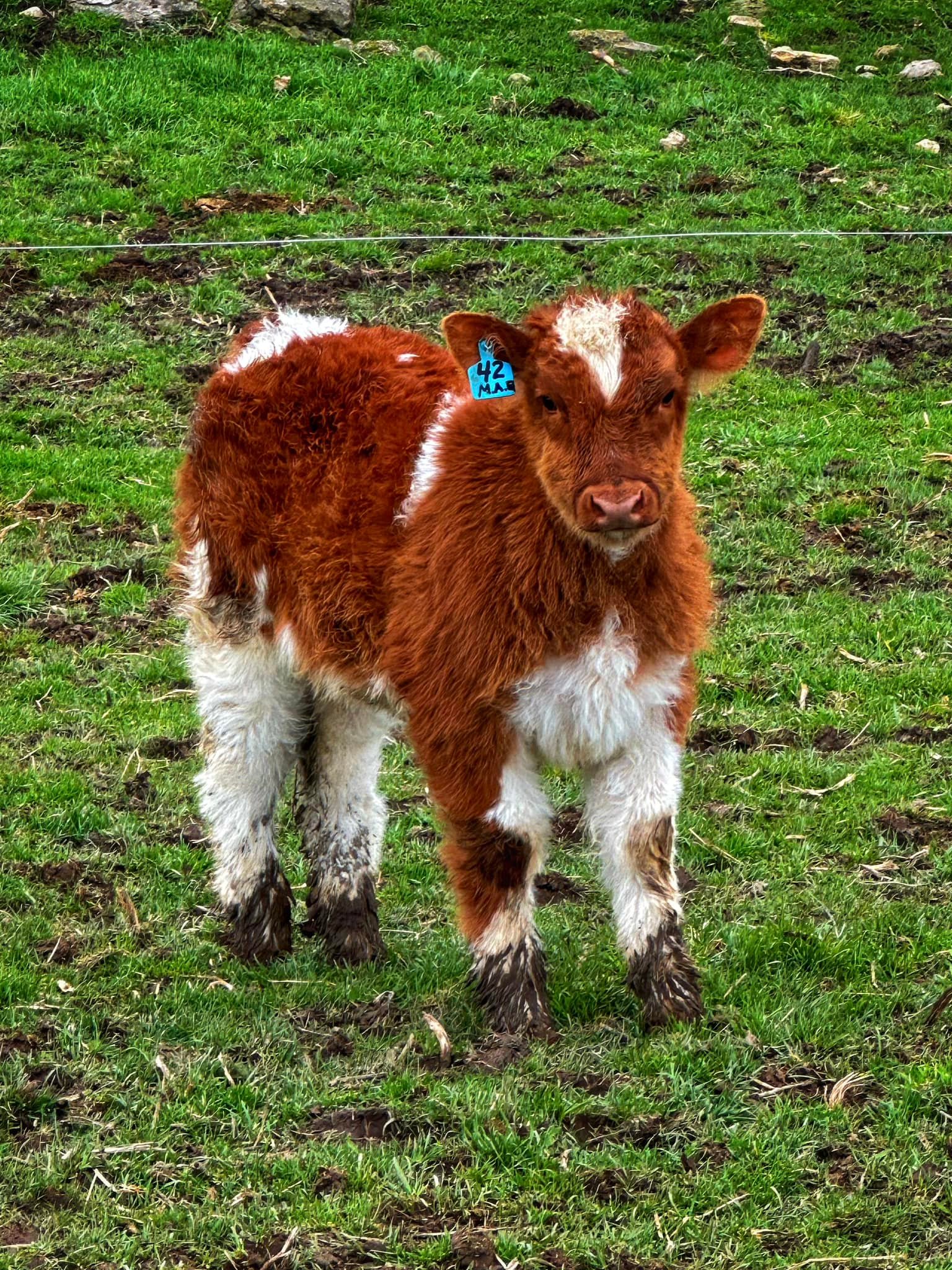 RVC Farms | Cedarville OH