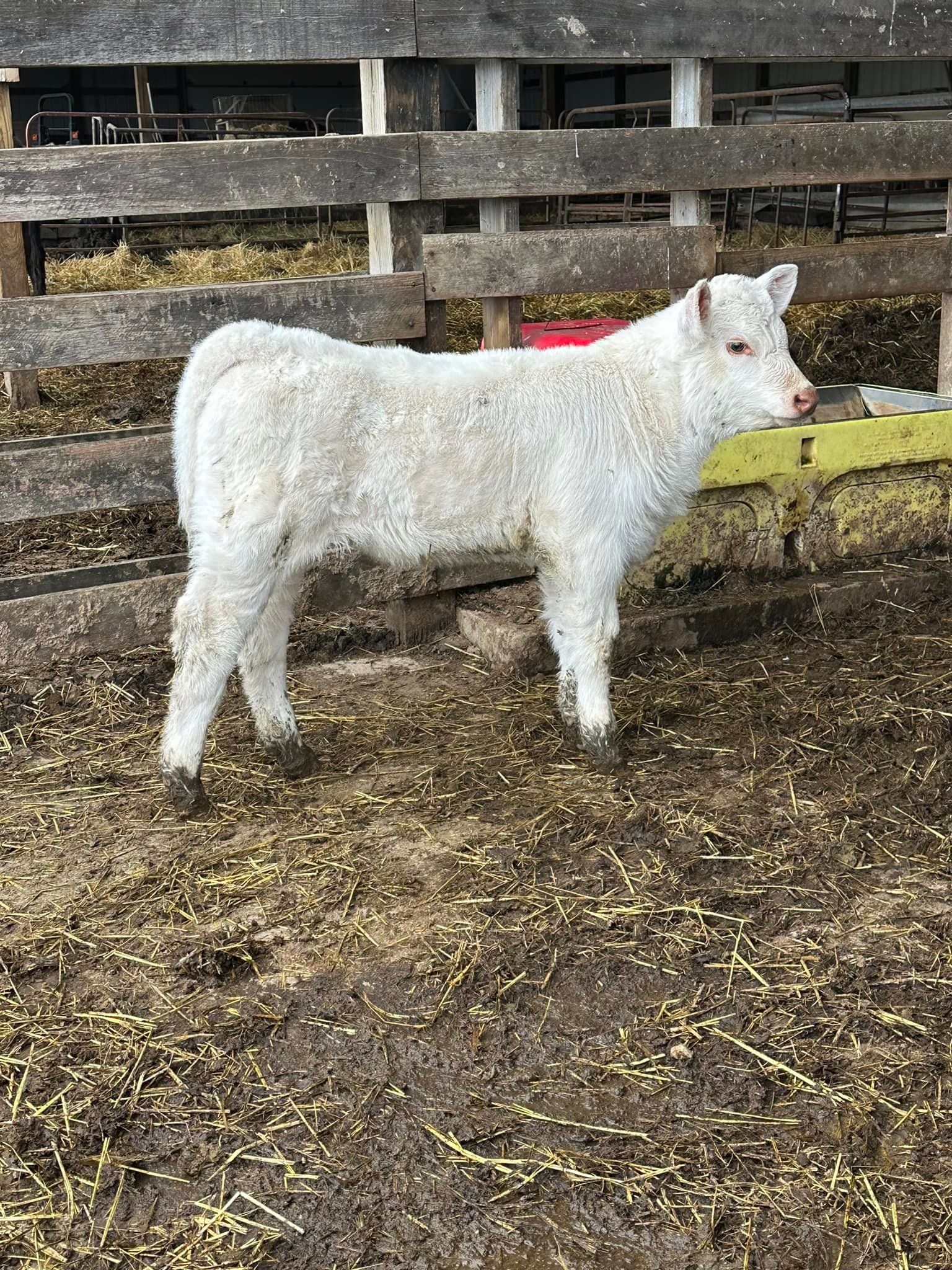 RVC Farms | Cedarville OH