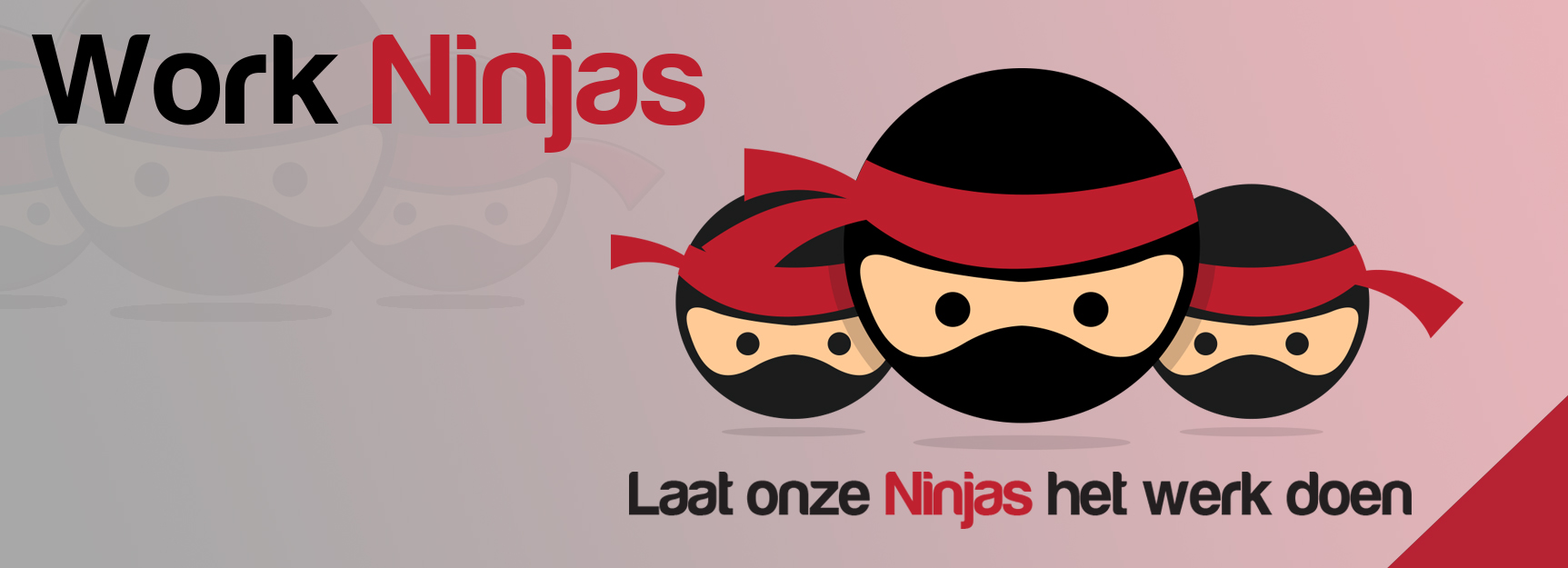 Work Ninjas NL