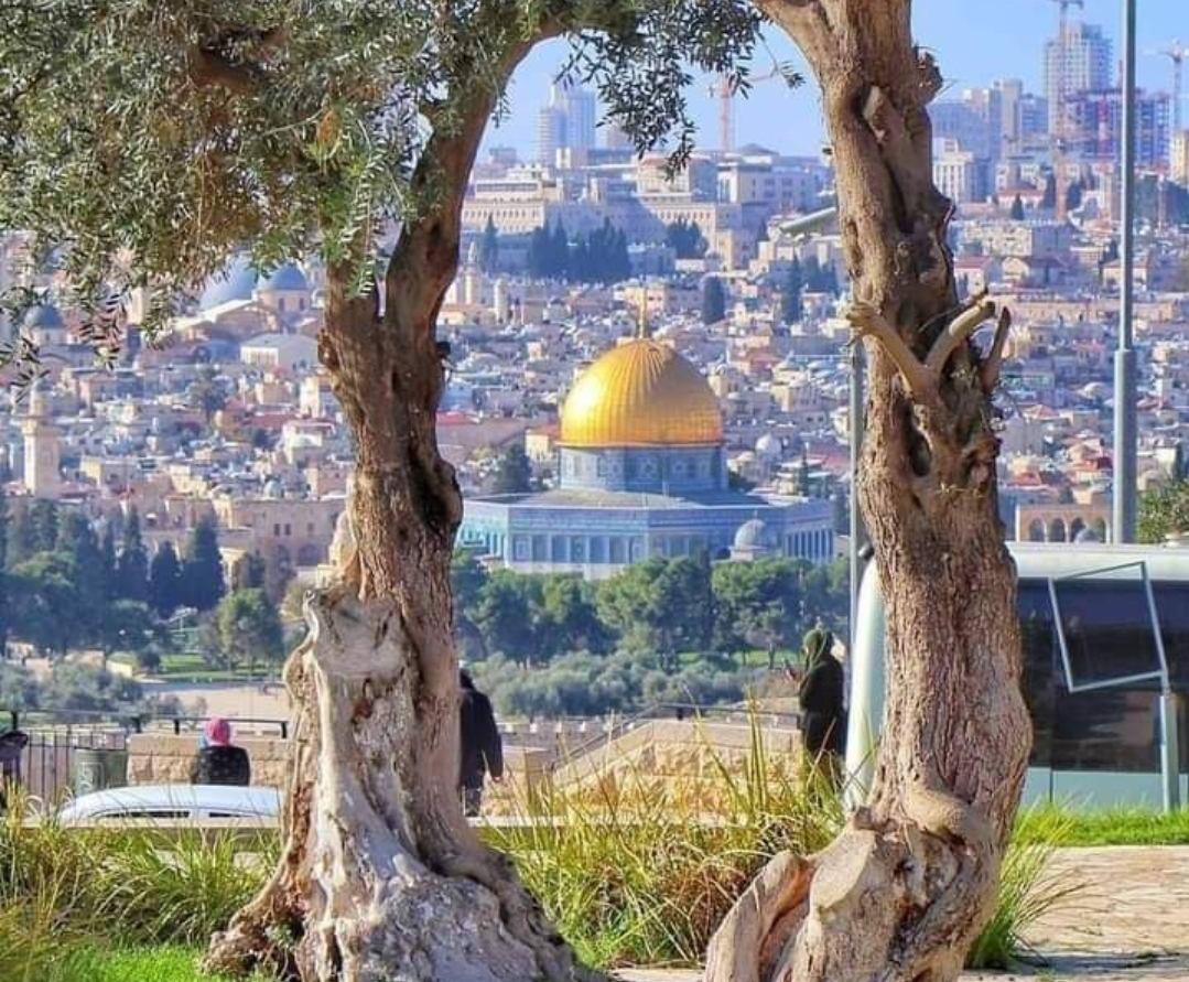 ادعاءات و ردود - بعد أن عجزَ النصارى عن الطعن في القرآن لغوياً أو ...