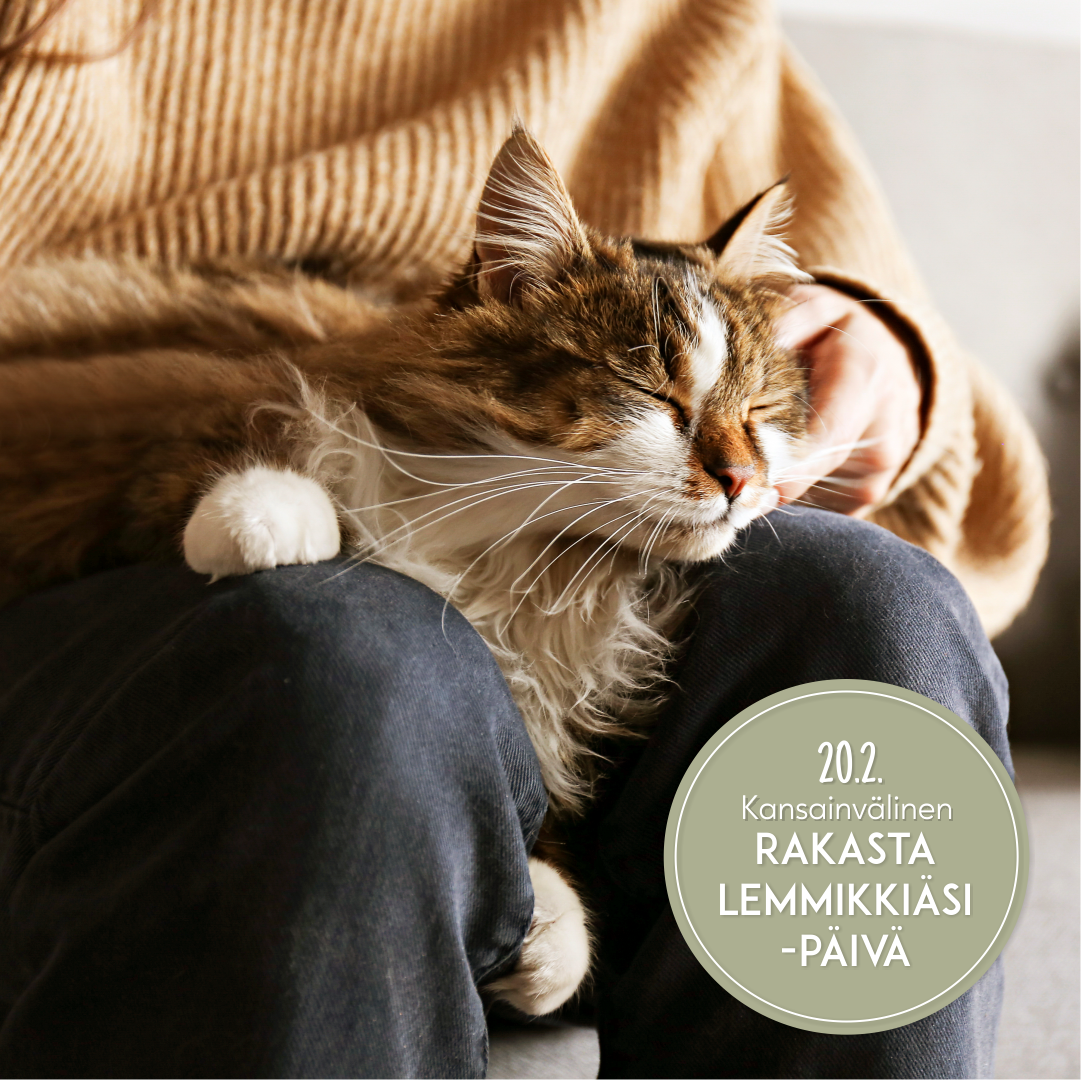 Faunatar - ️ Kansainväinen rakasta lemmikkiäsi -päivä ️... | Facebook